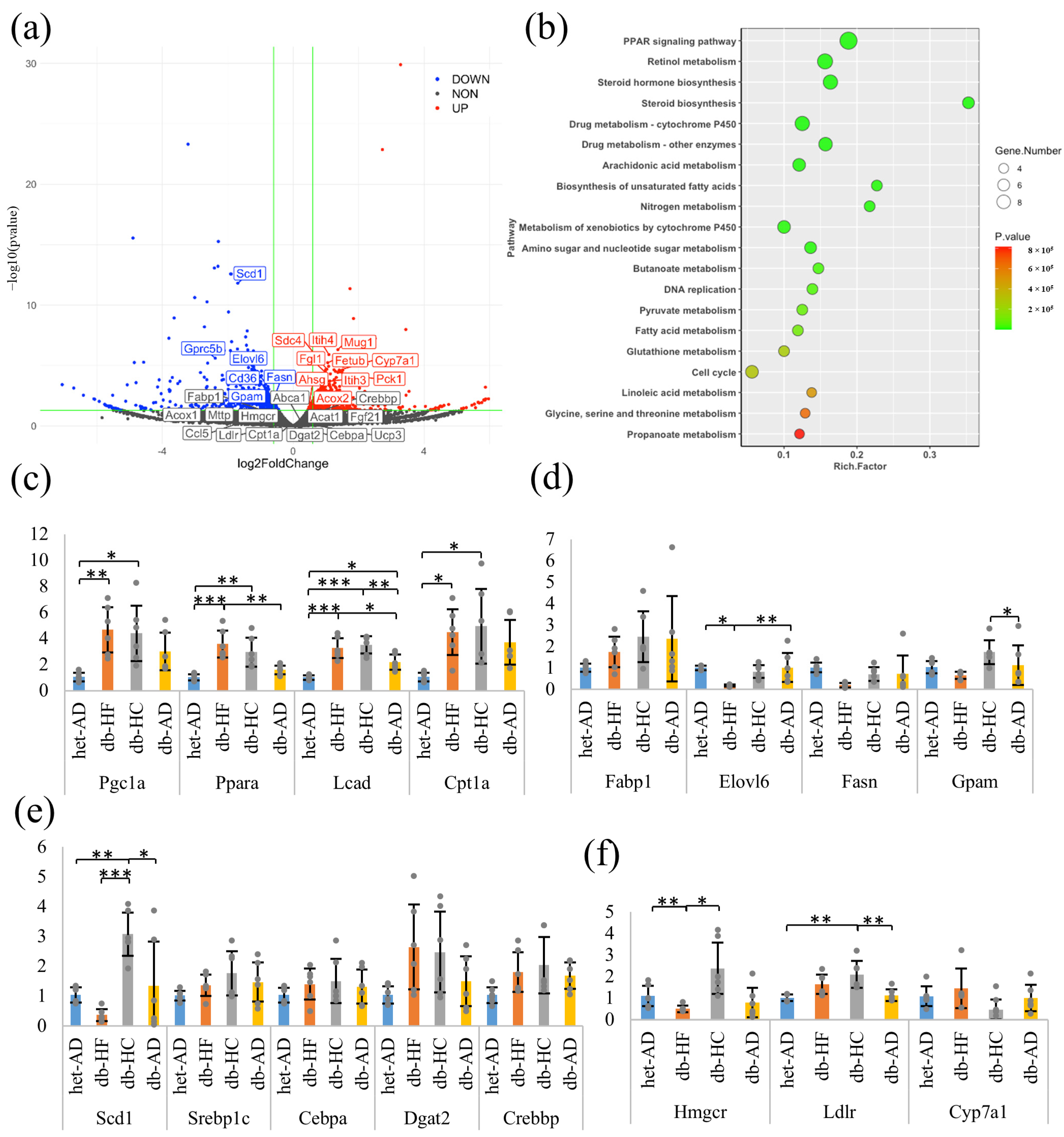 Nutrients 16 00995 g004