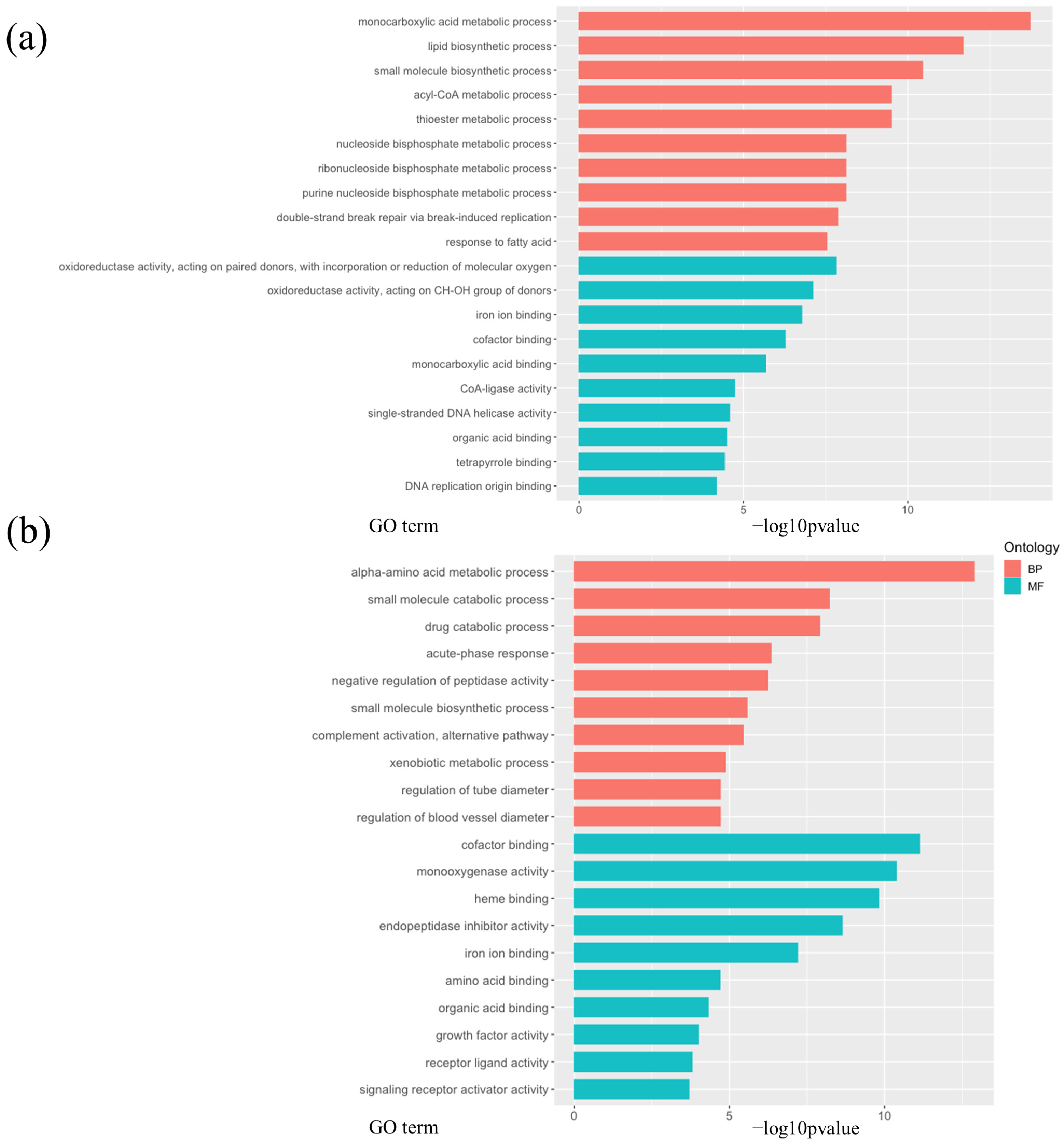 Nutrients 16 00995 g005