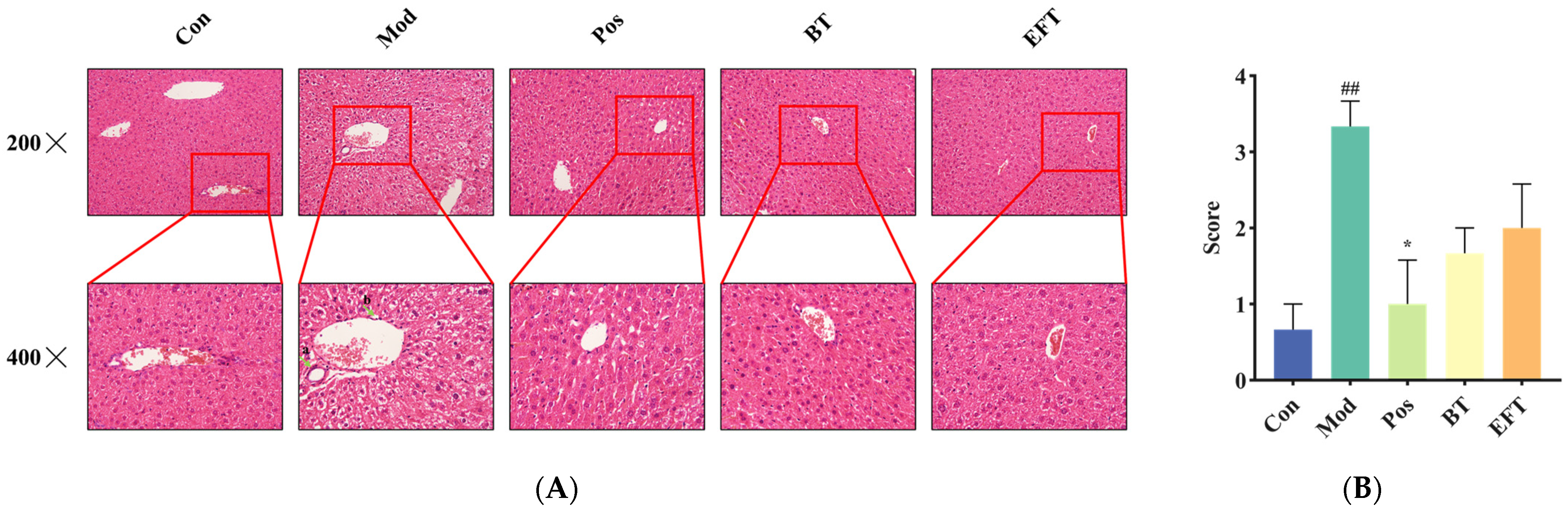 Nutrients 16 00998 g005