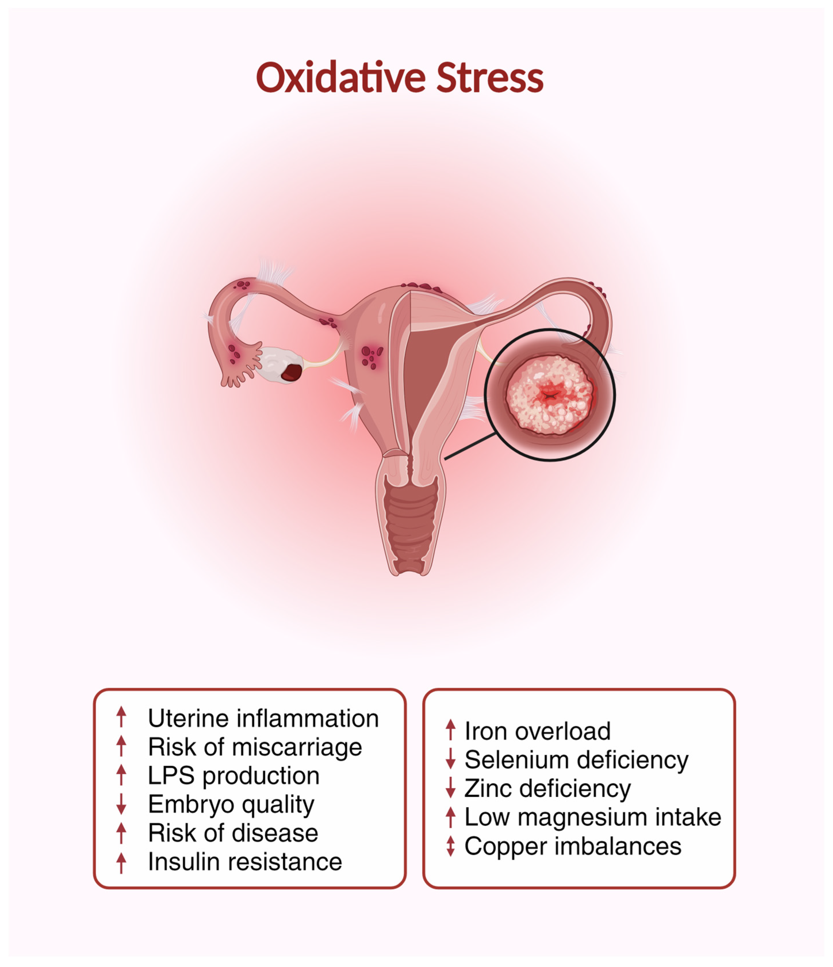 Nutrients 16 01008 g002 Nutrients 16 01008 g002