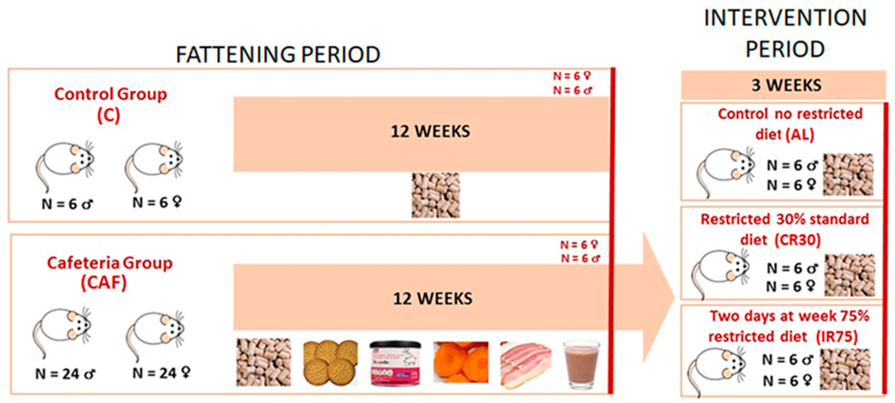 Nutrients 16 01009 g001