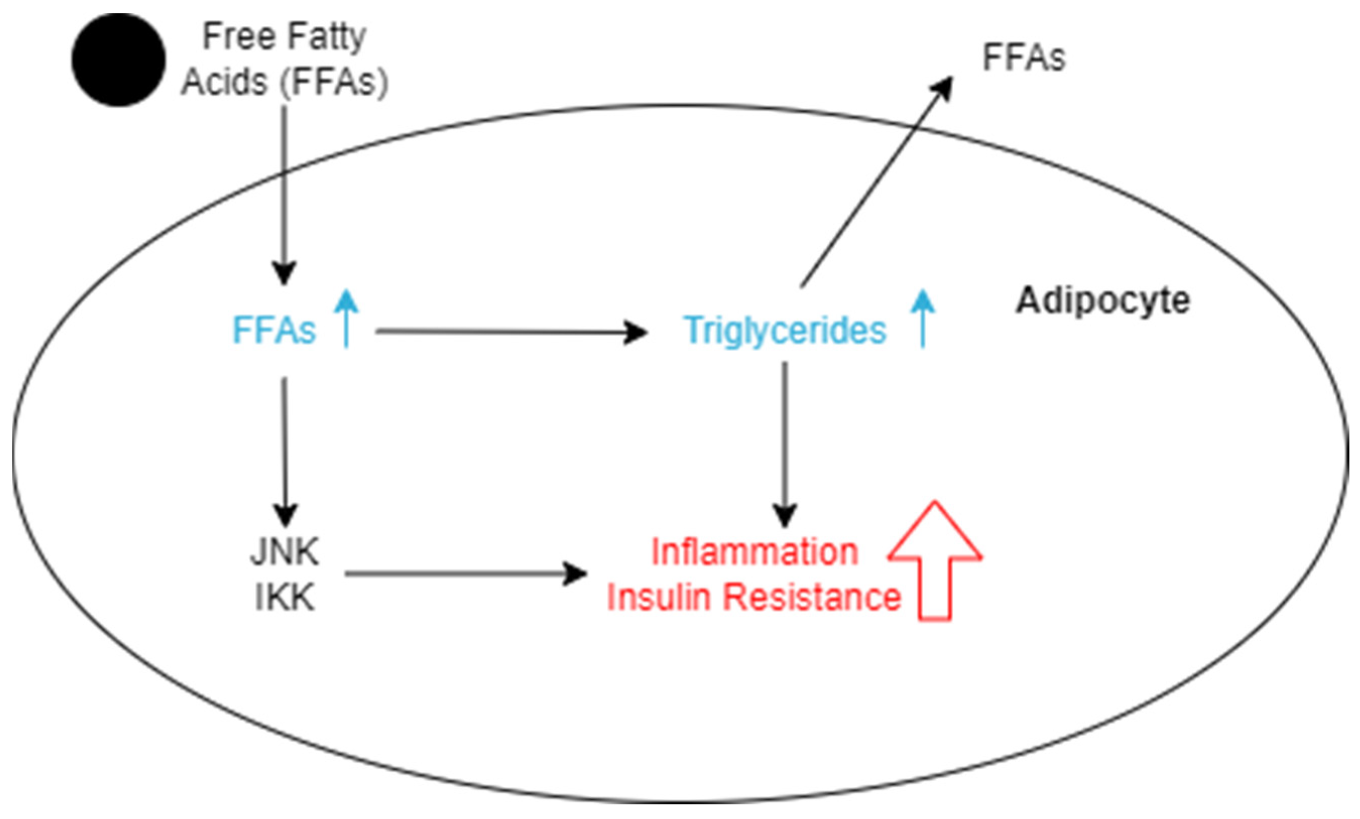 Nutrients 16 01015 g002