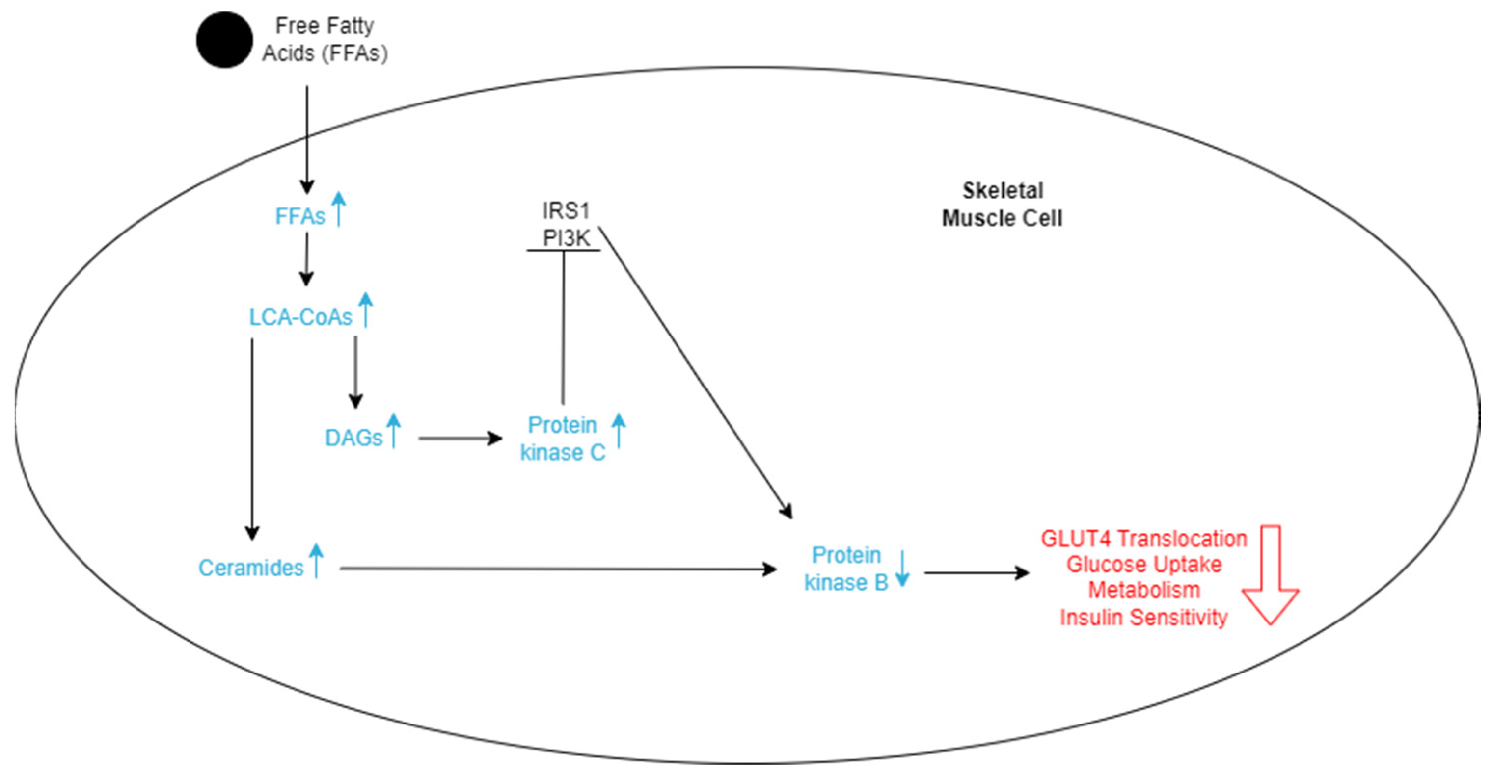 Nutrients 16 01015 g003