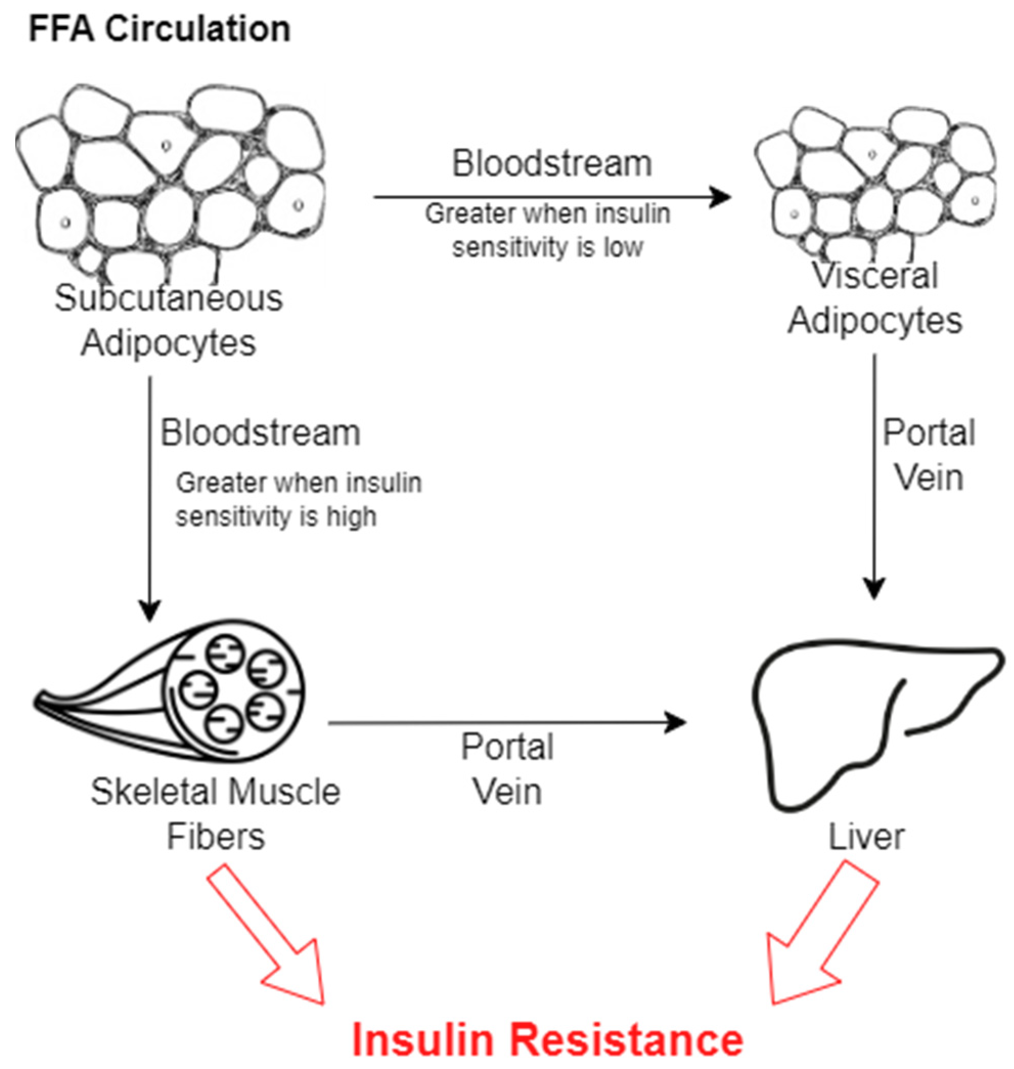 Nutrients 16 01015 g004