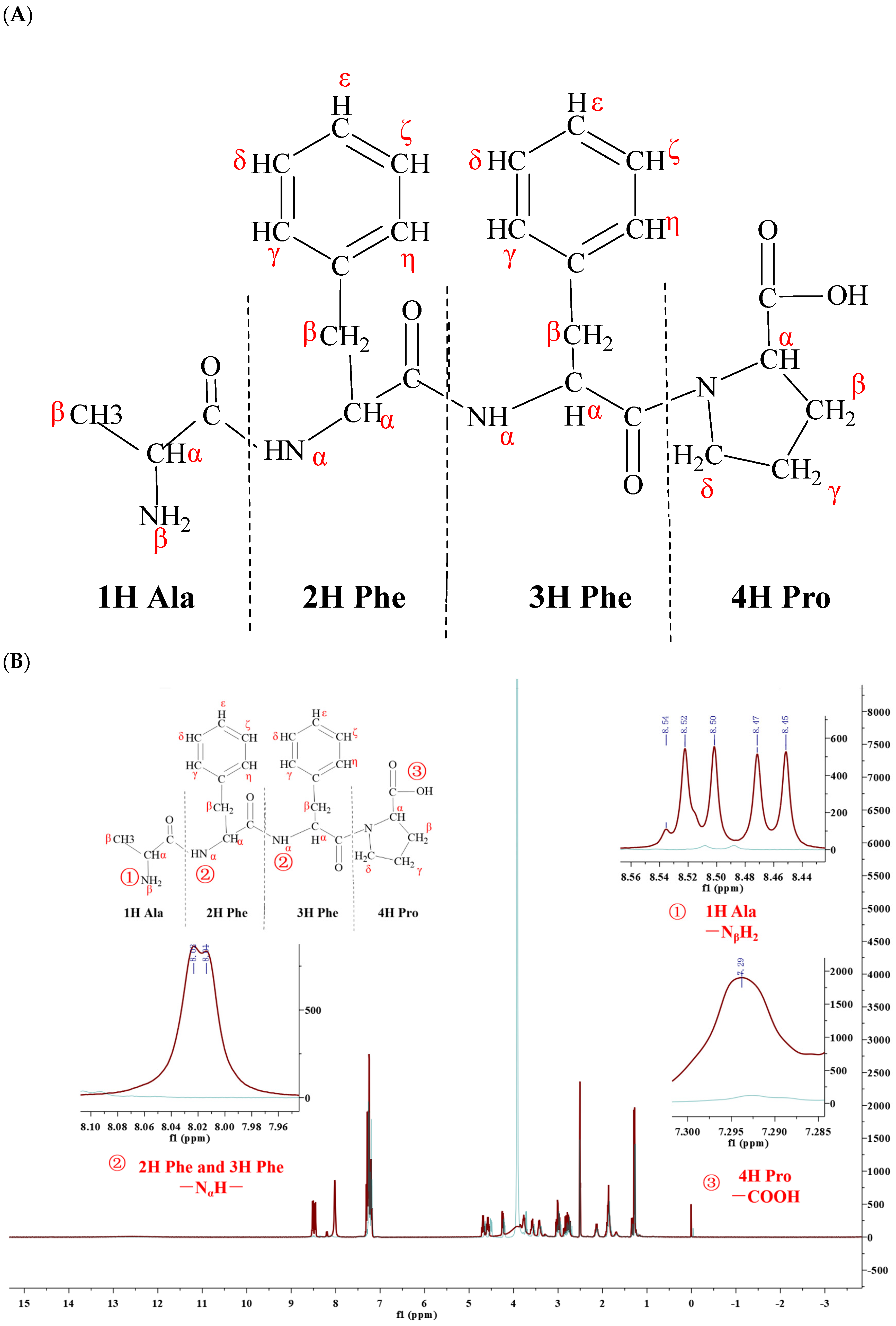 Nutrients 16 01019 g002