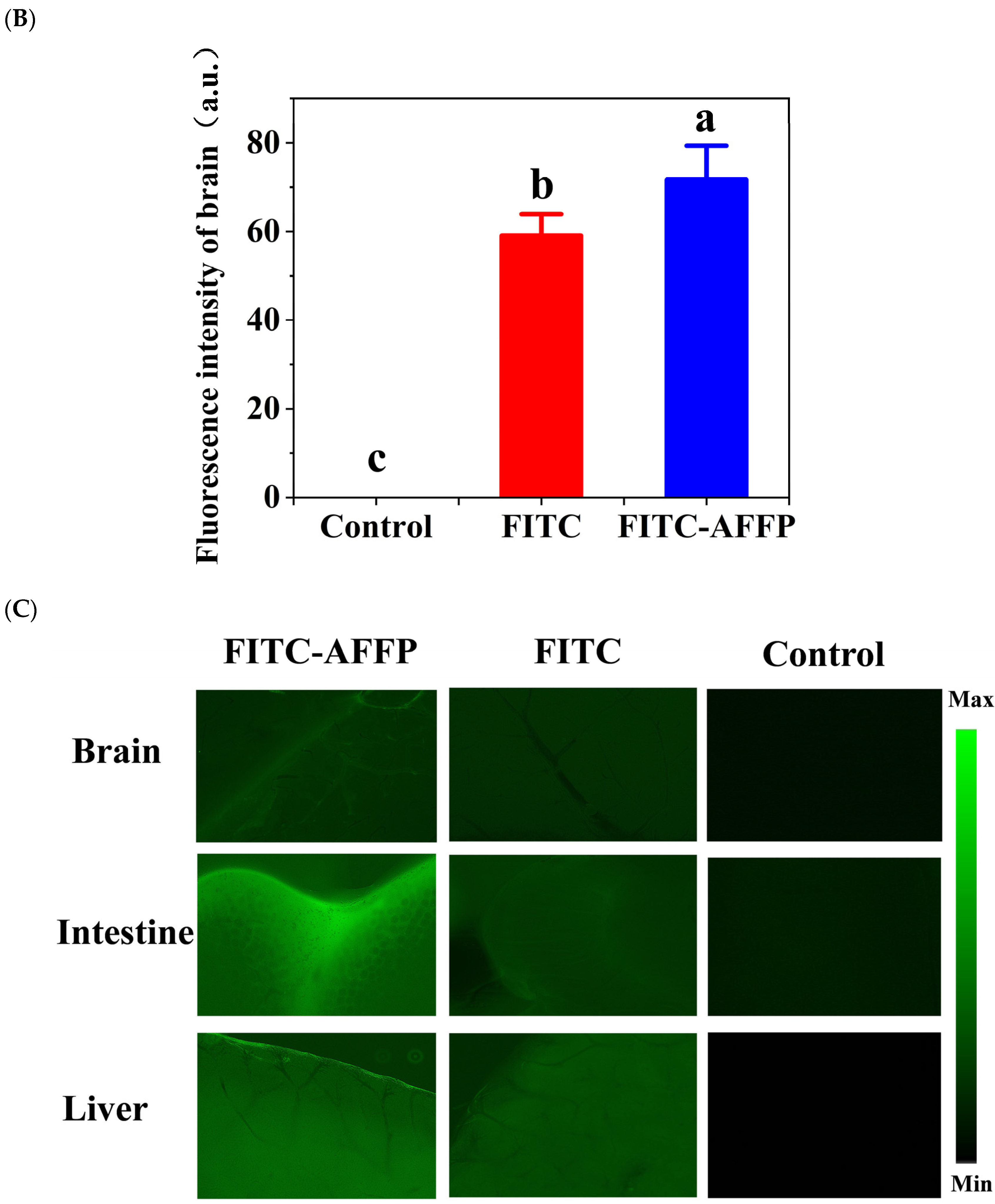 Nutrients 16 01019 g003b