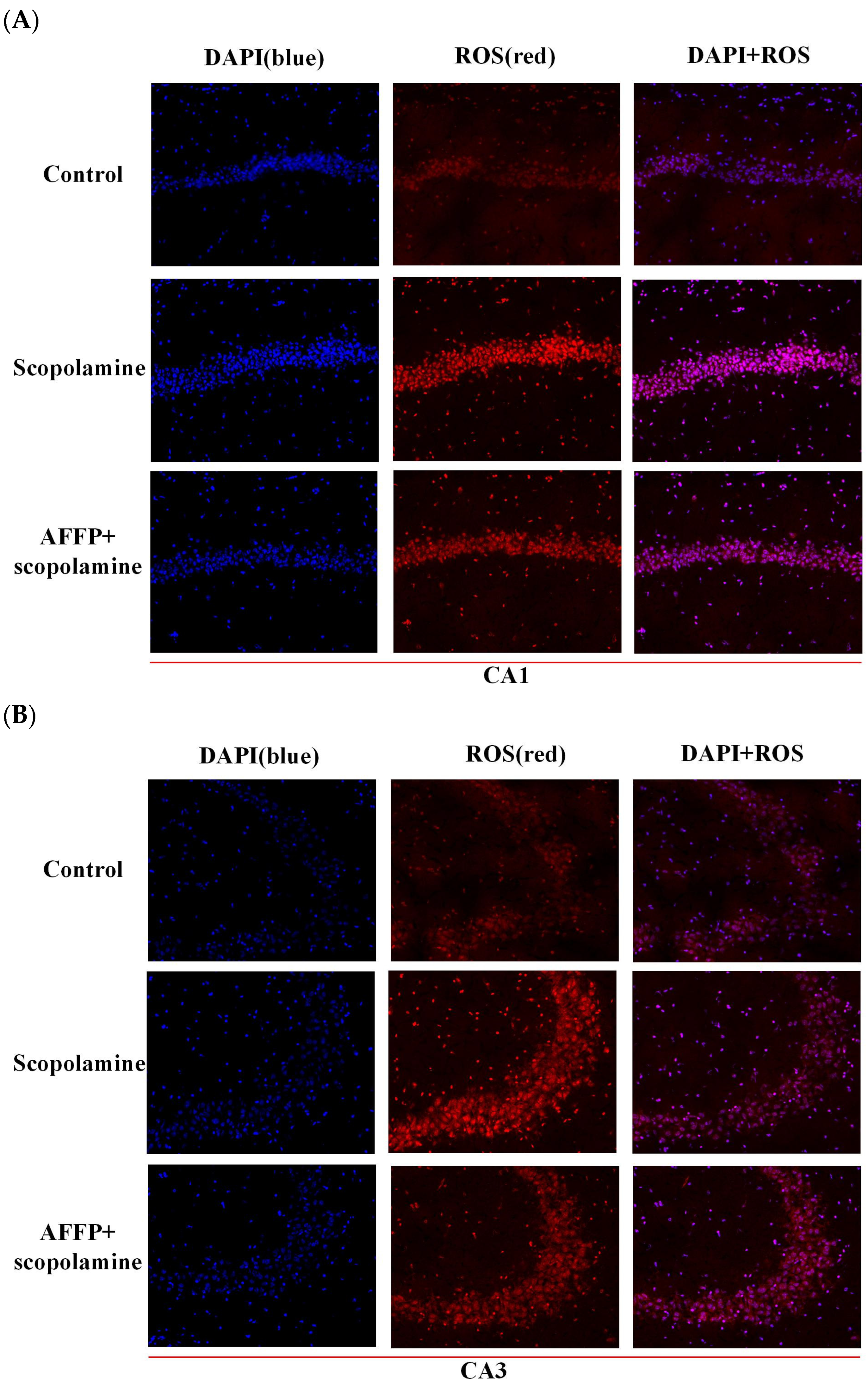 Nutrients 16 01019 g007a