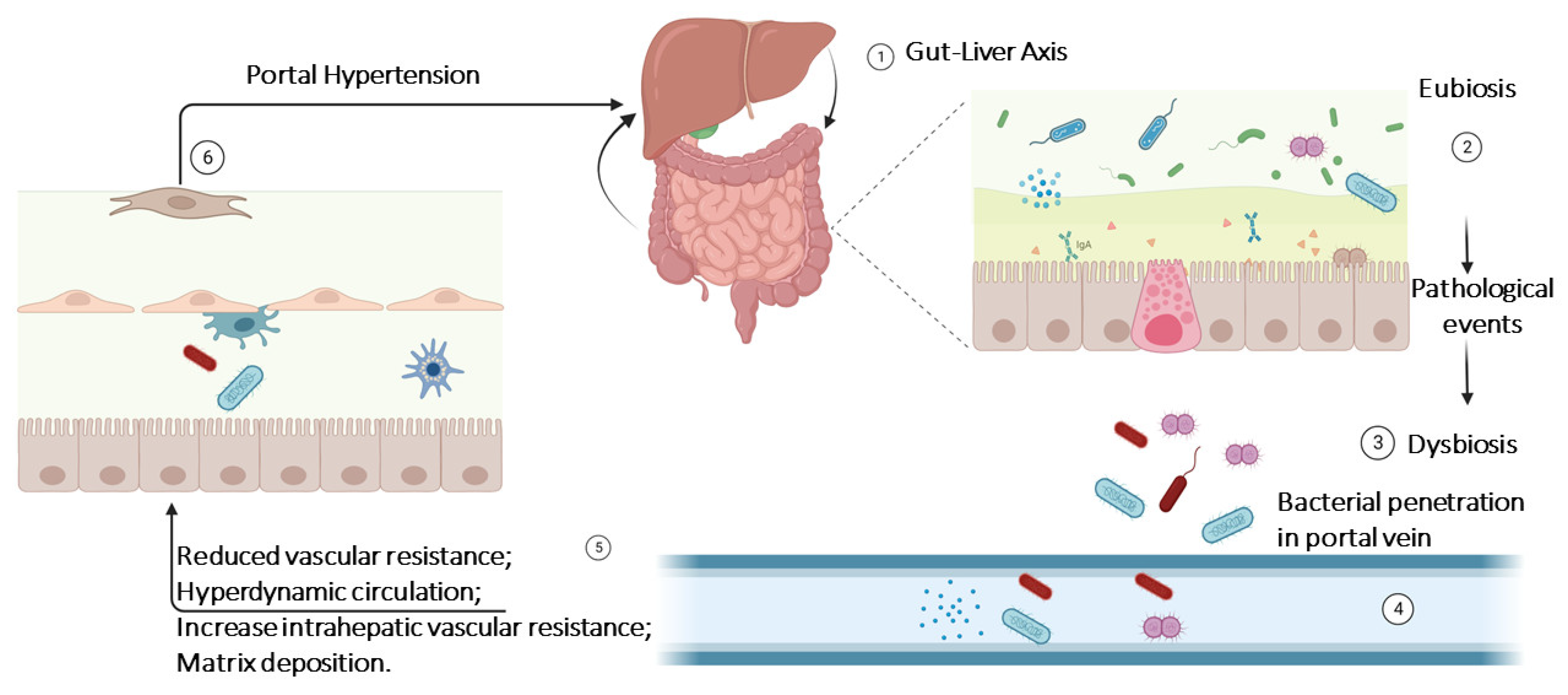Nutrients 16 01025 g002 Nutrients 16 01025 g002