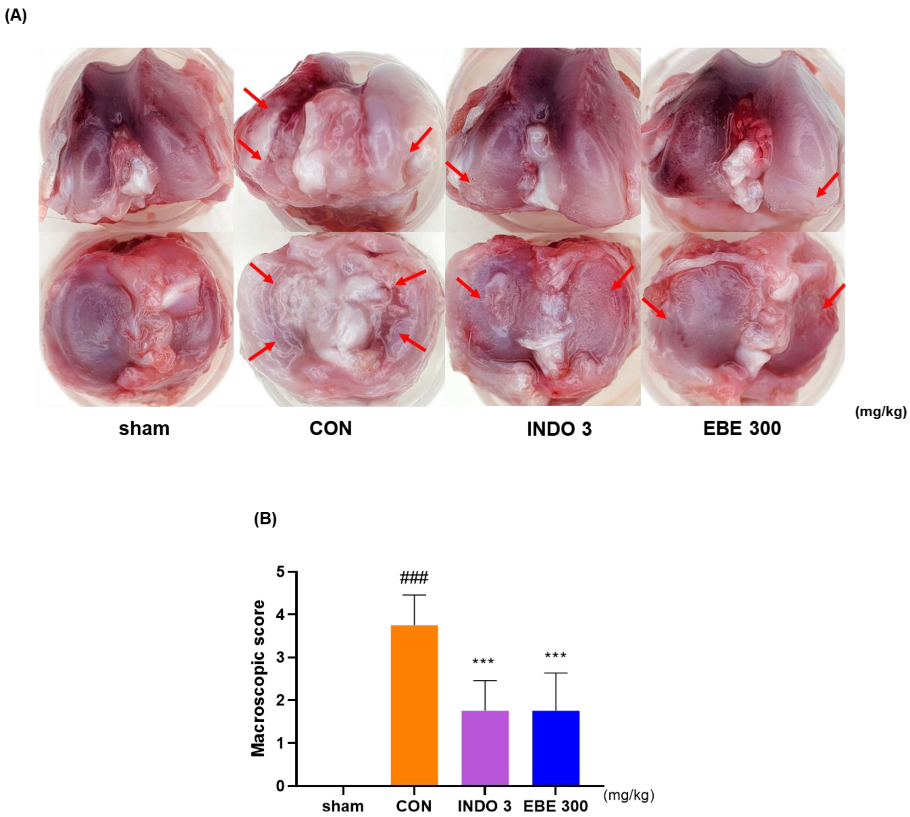 Nutrients 16 01035 g004