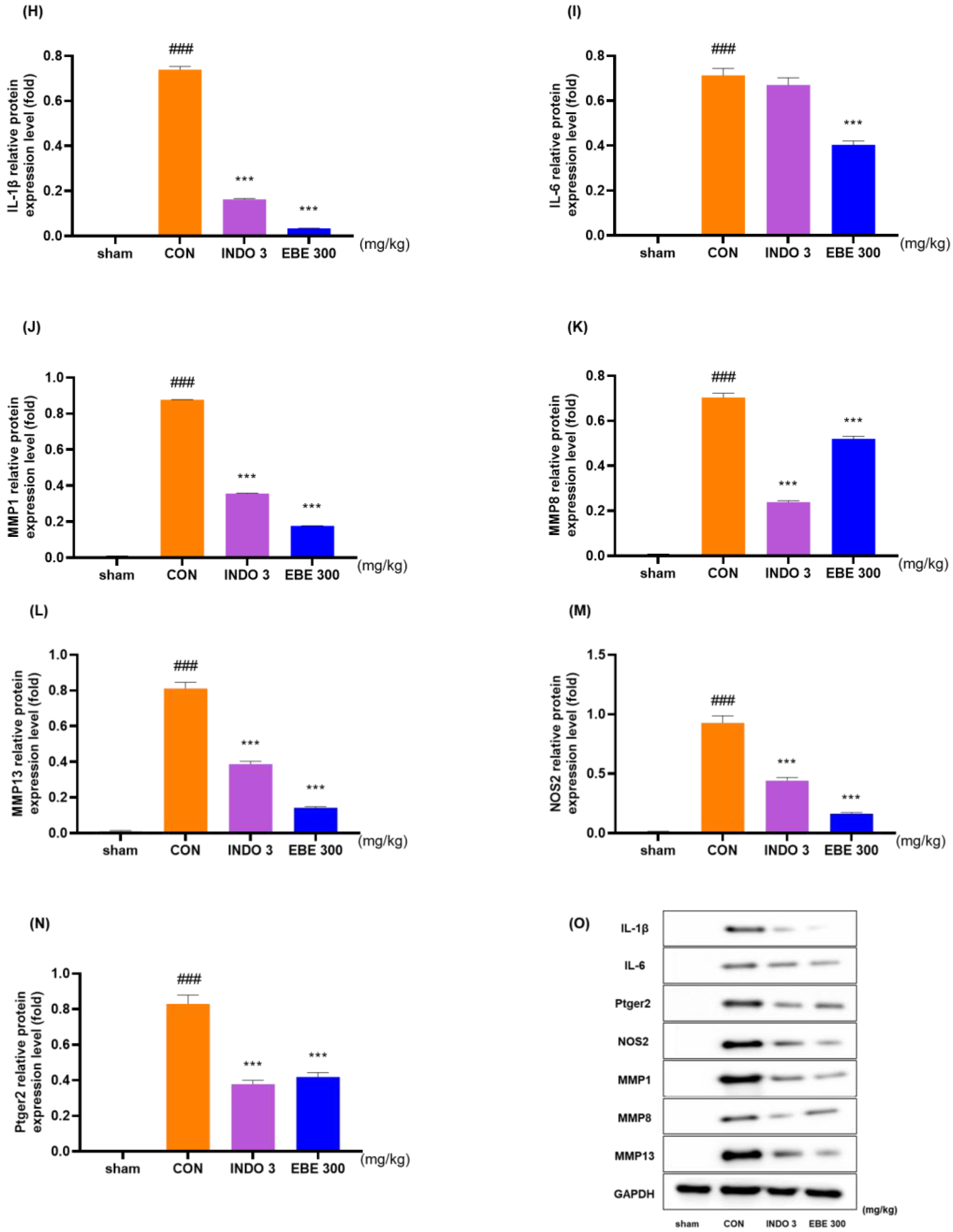 Nutrients 16 01035 g006b