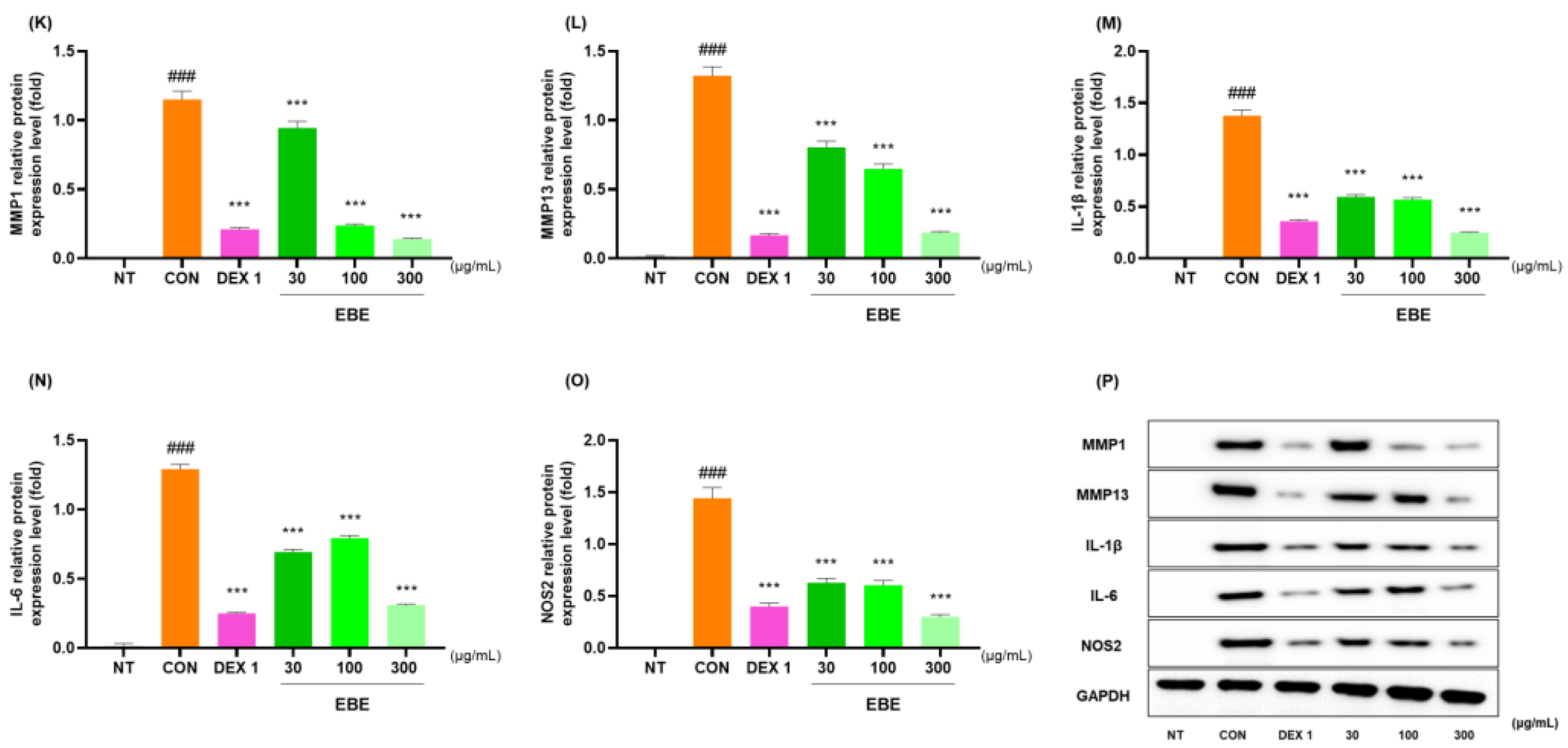 Nutrients 16 01035 g007b