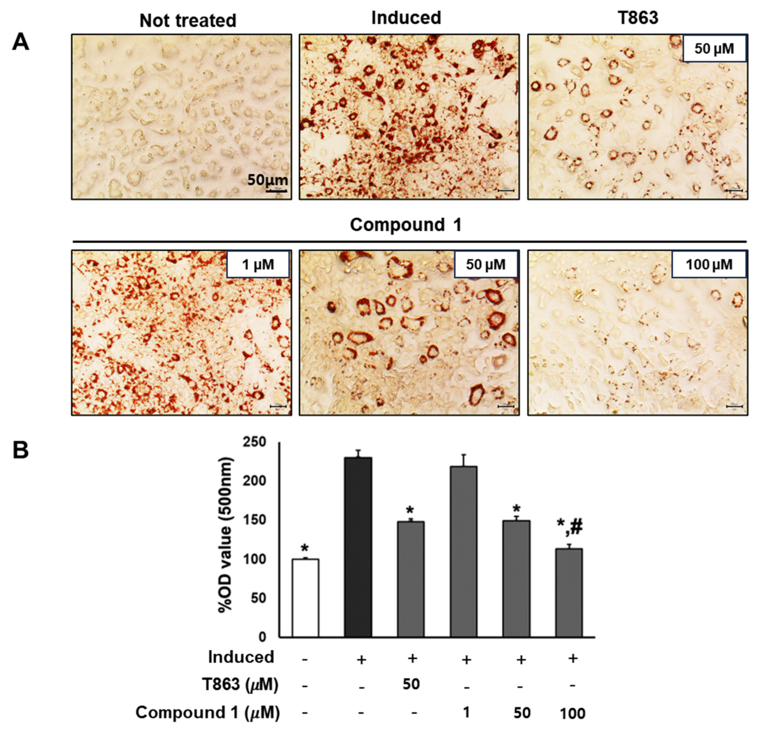 Nutrients 16 01036 g005