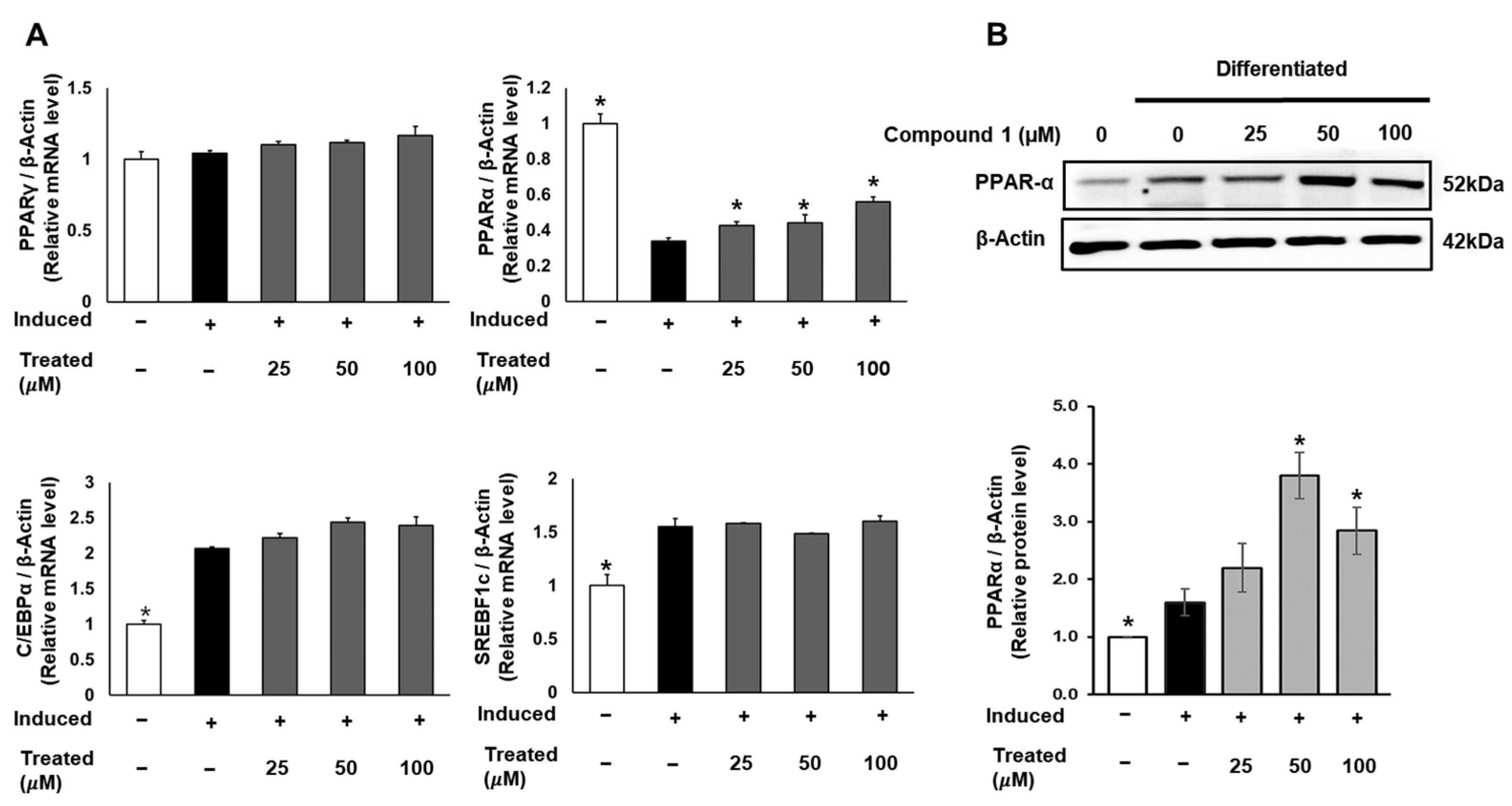 Nutrients 16 01036 g006