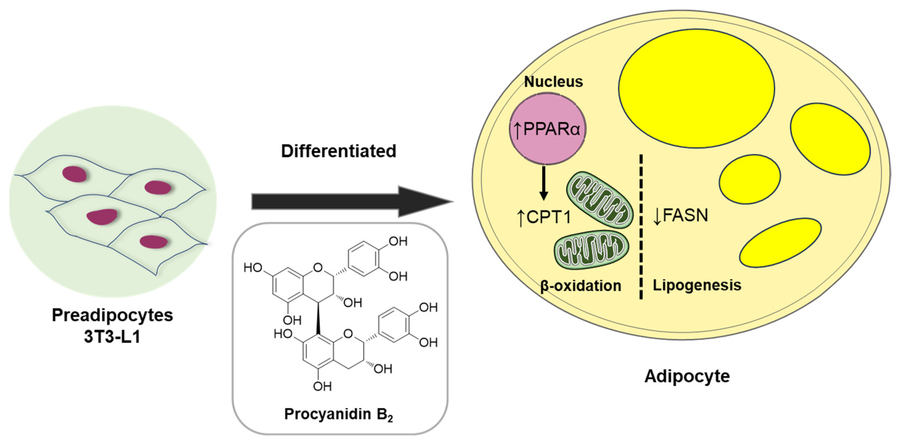 Nutrients 16 01036 g009