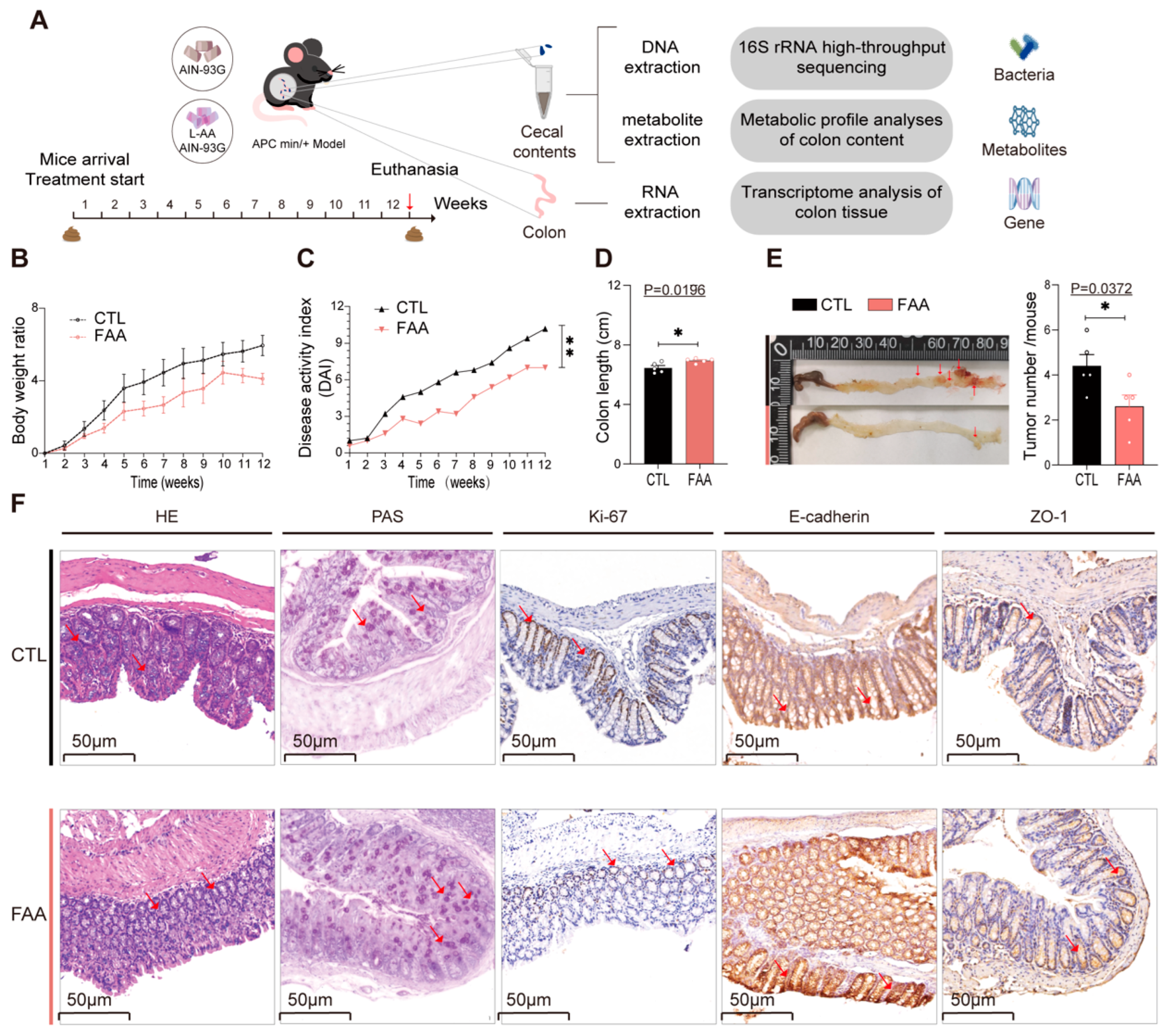 Nutrients 16 01040 g003