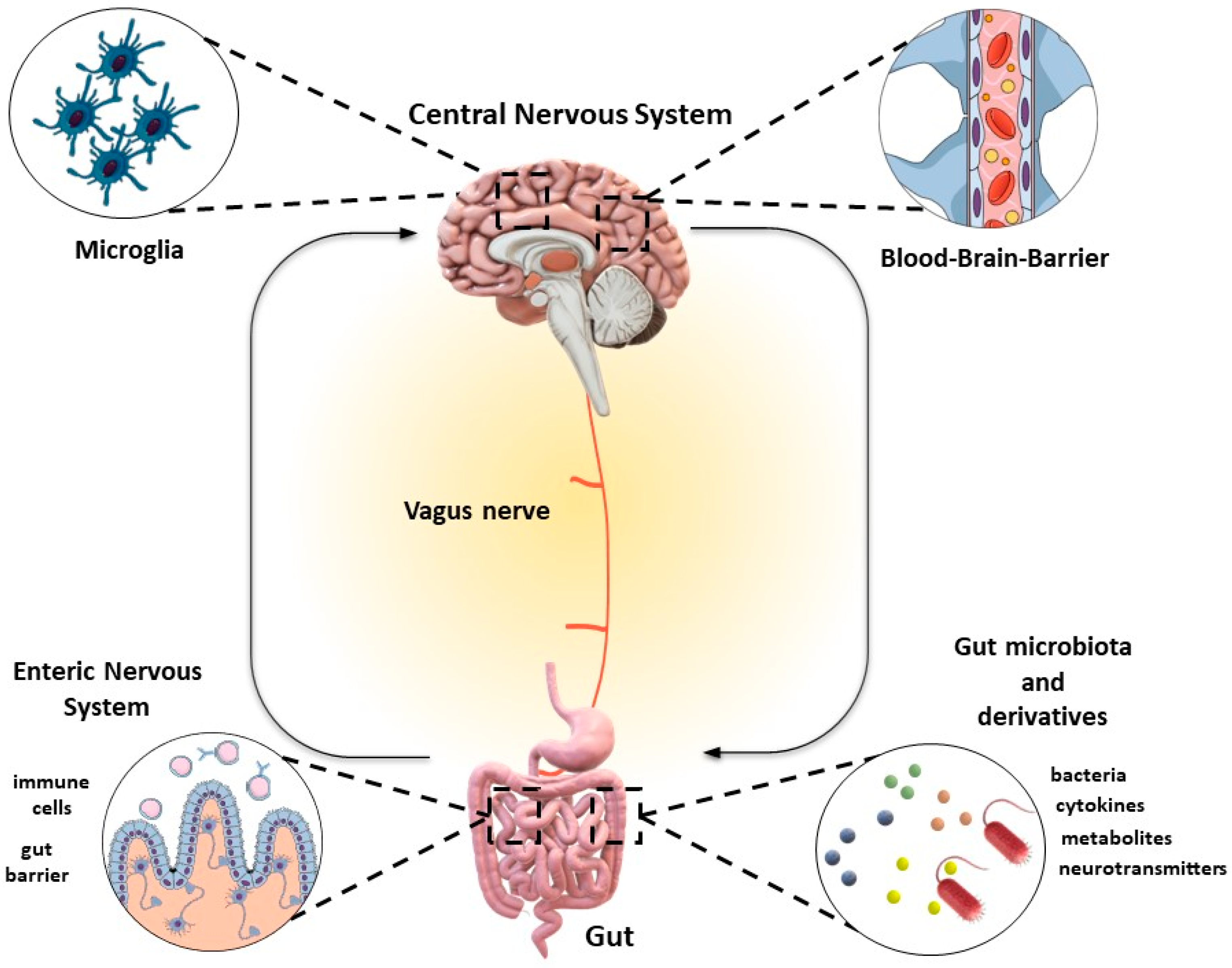 Nutrients 16 01054 g001