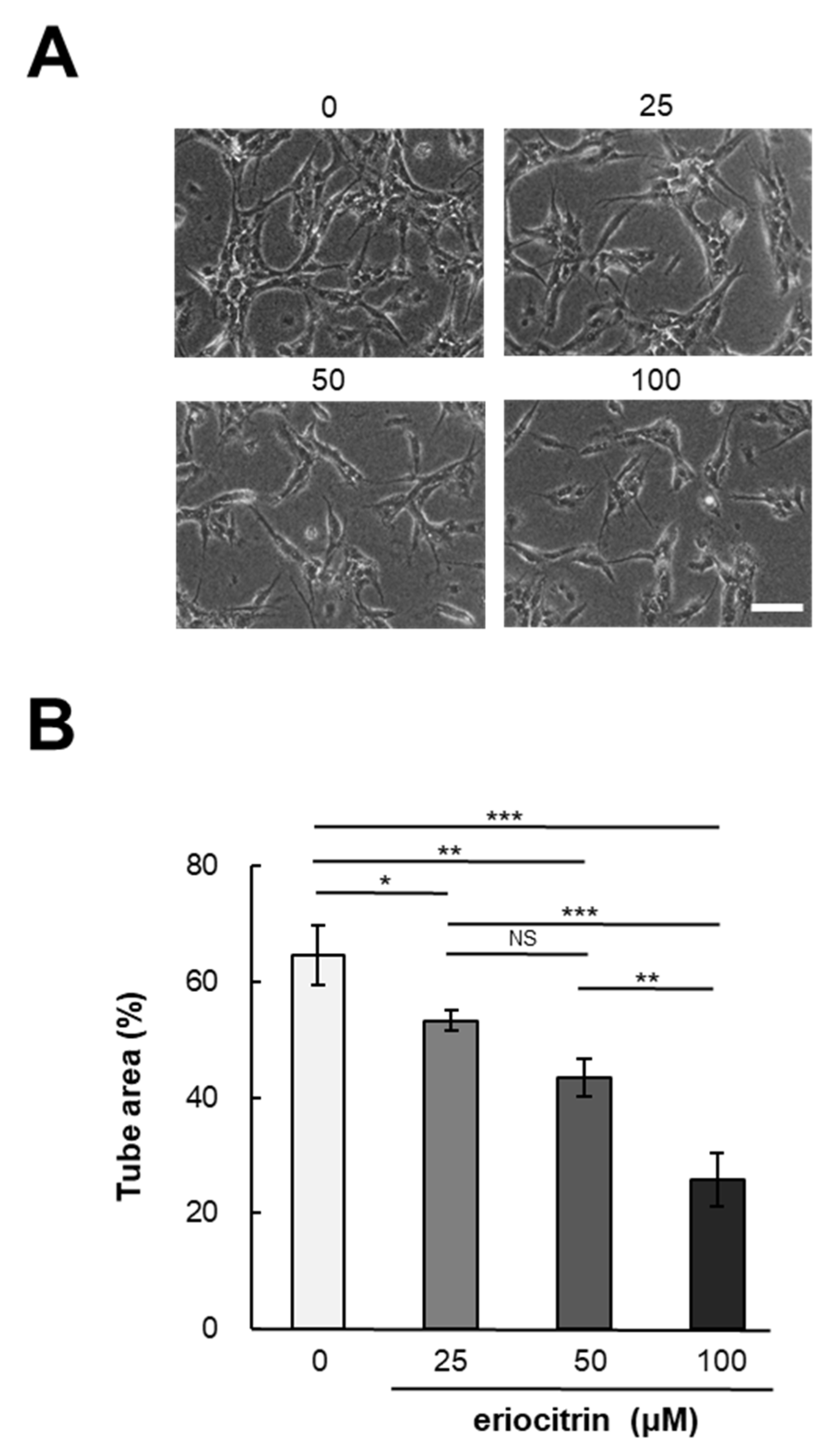 Nutrients 16 01091 g002