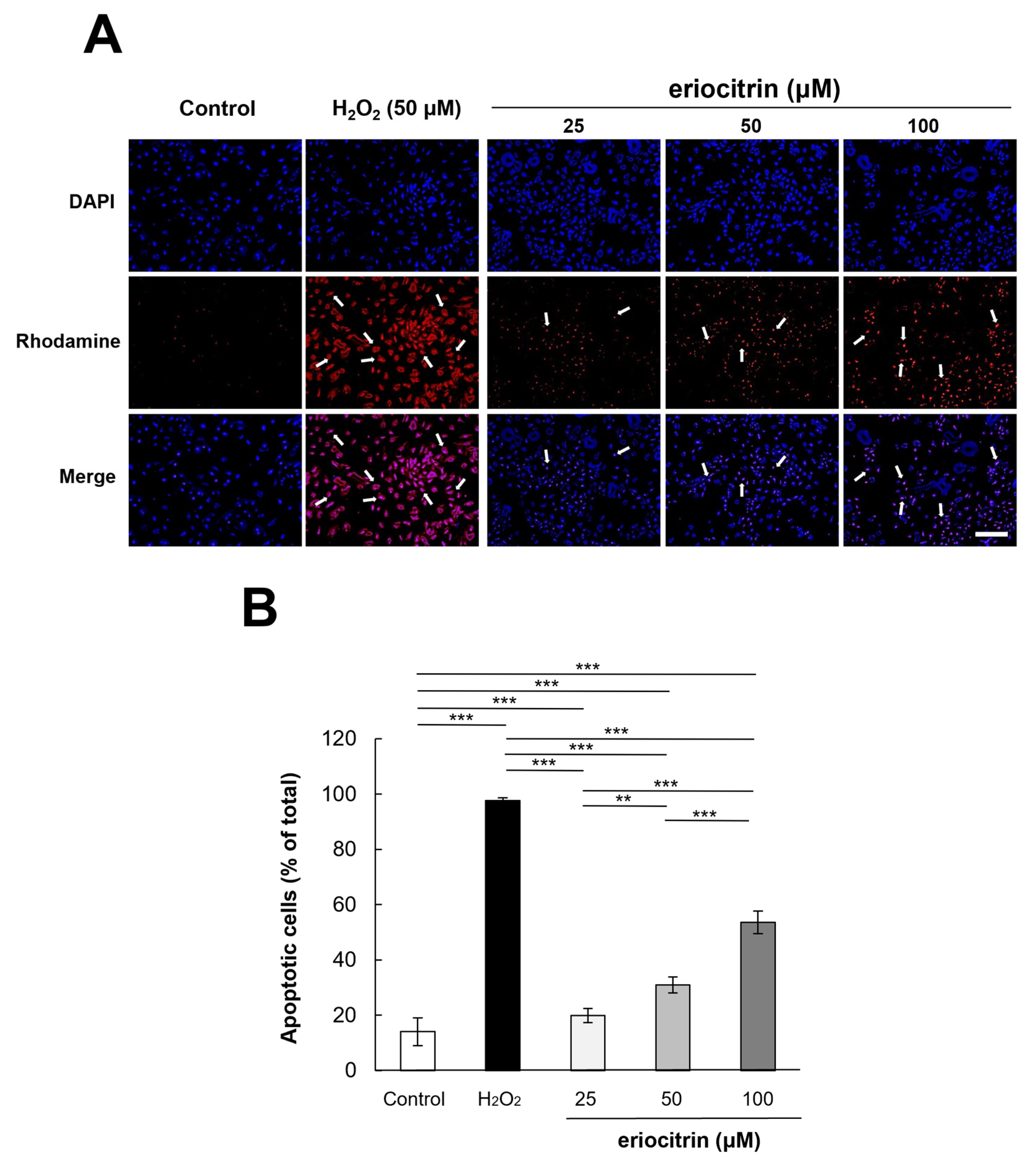 Nutrients 16 01091 g006