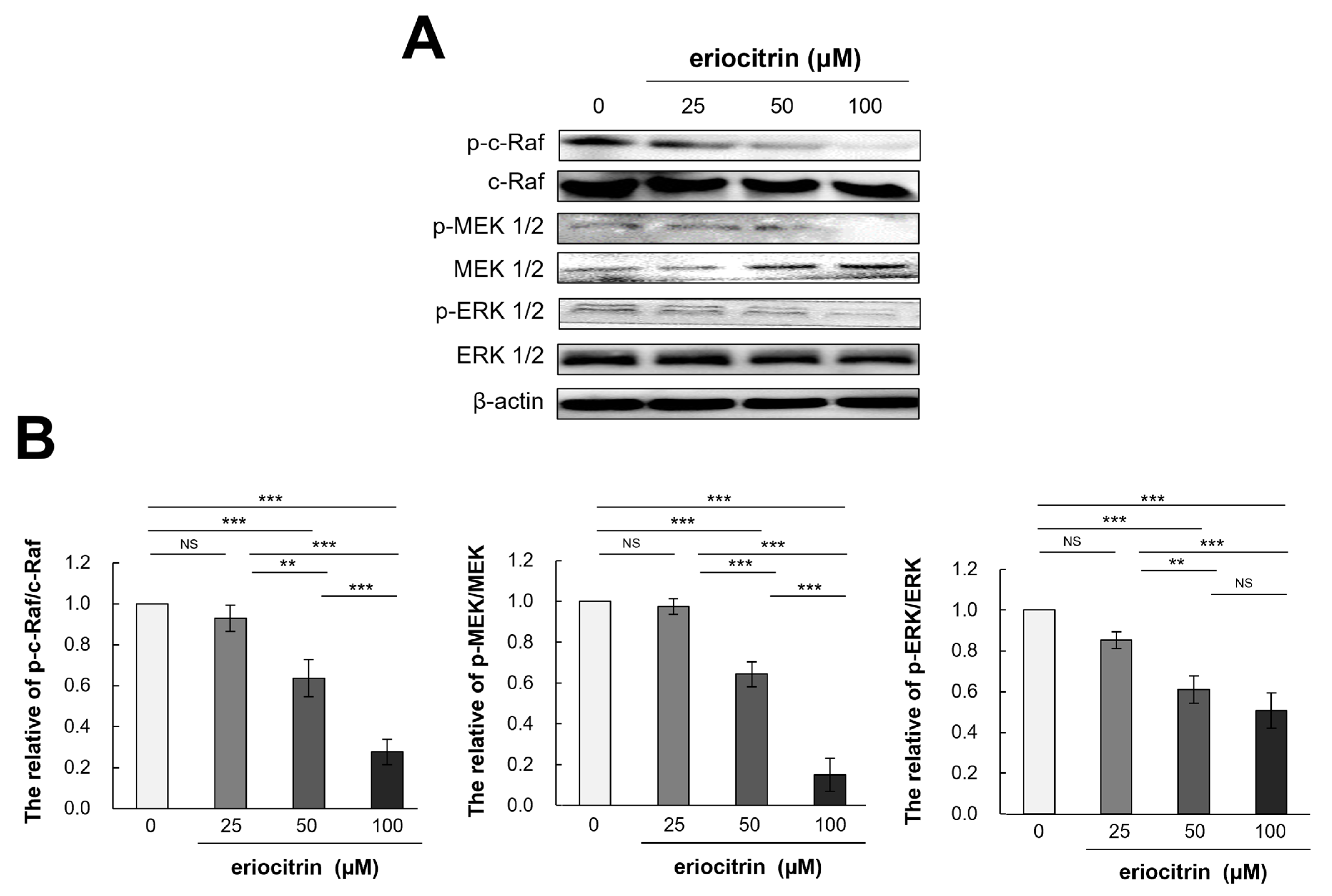 Nutrients 16 01091 g008