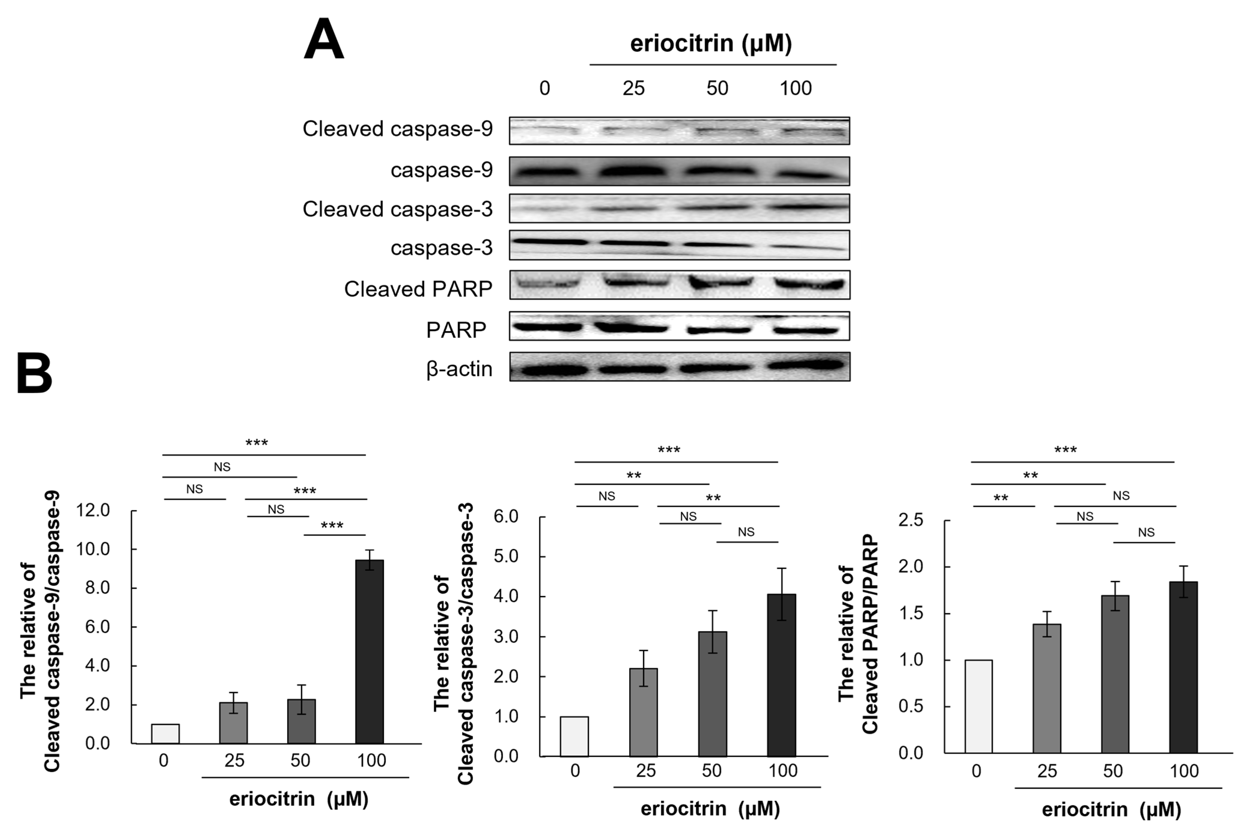 Nutrients 16 01091 g010