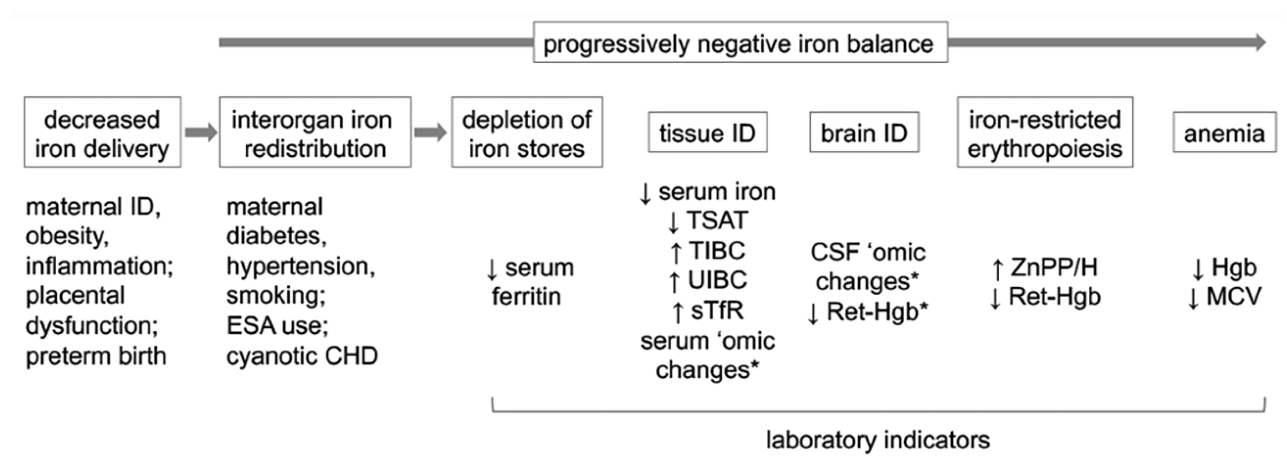 Nutrients 16 01092 g001