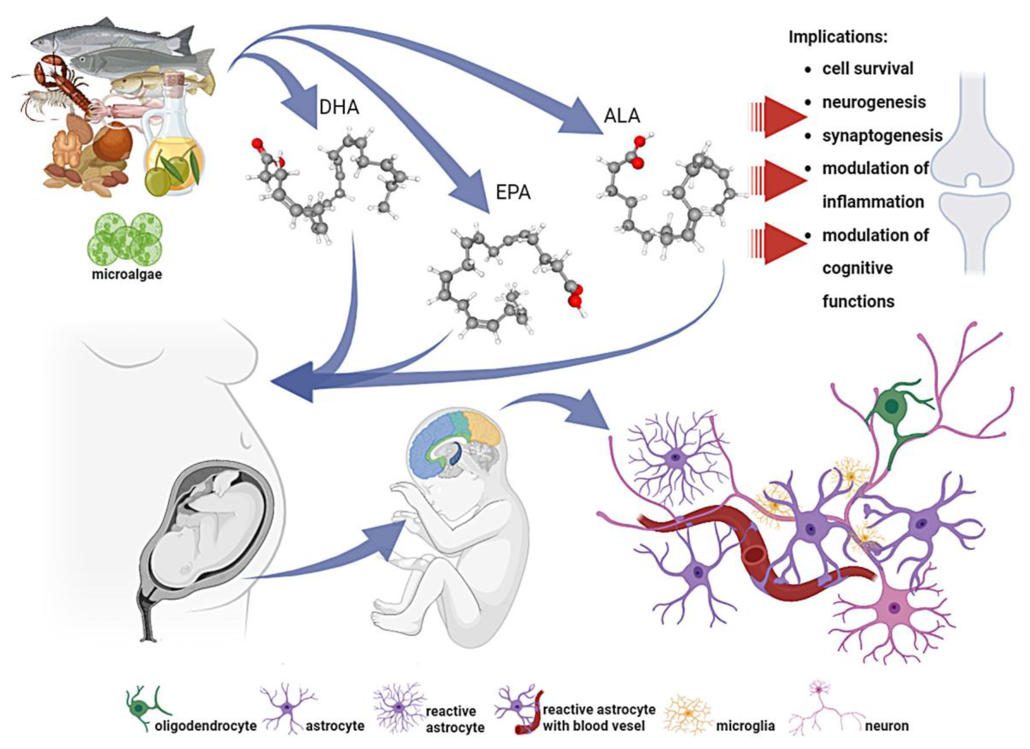 Nutrients 16 01093 g001