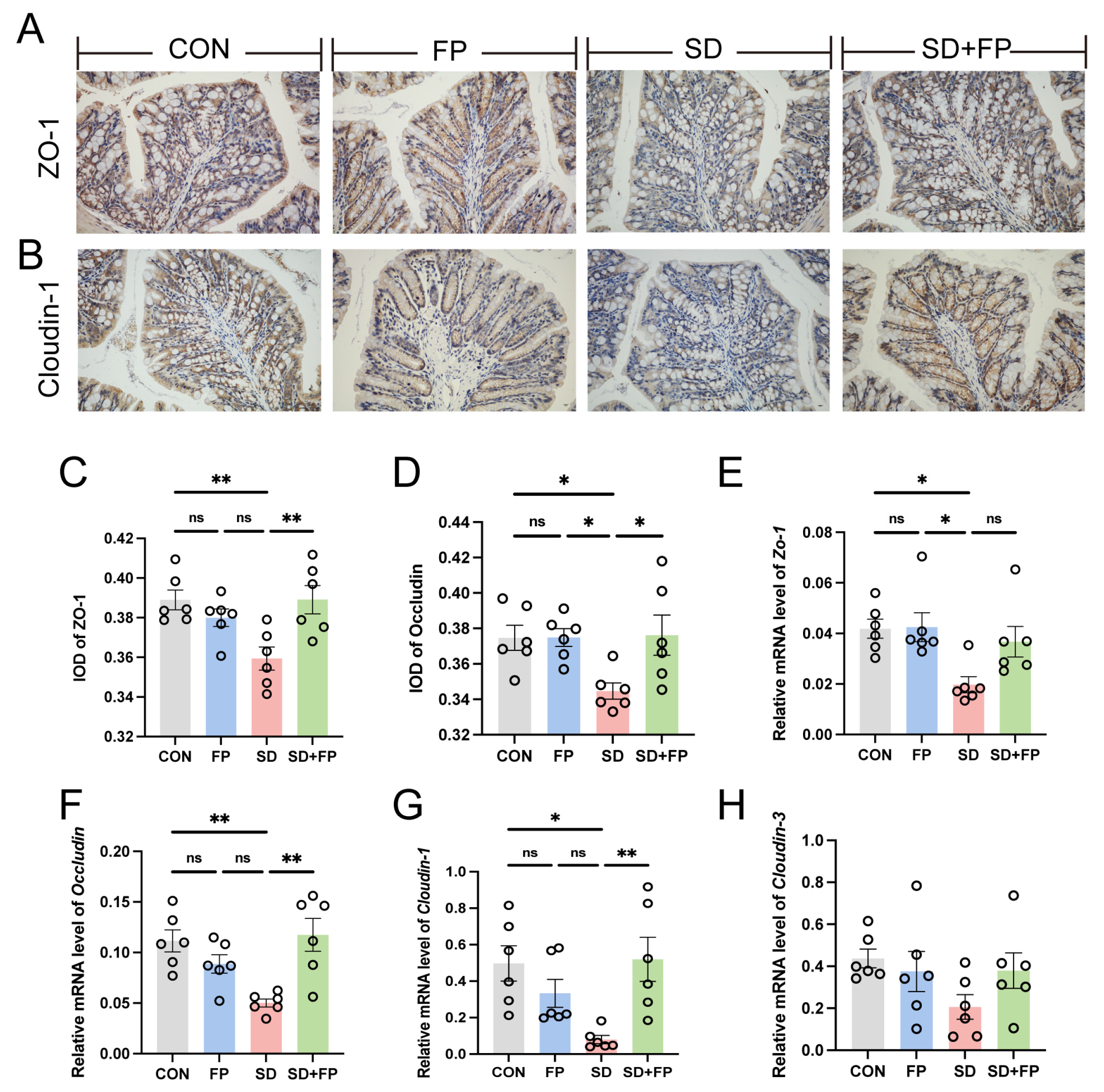 Nutrients 16 01100 g002