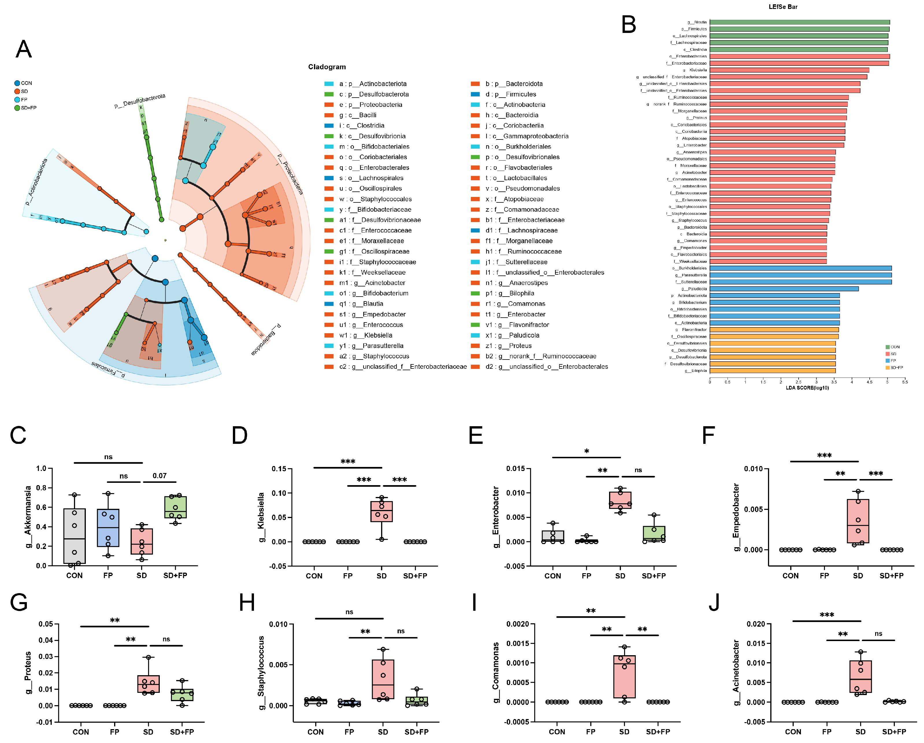 Nutrients 16 01100 g005