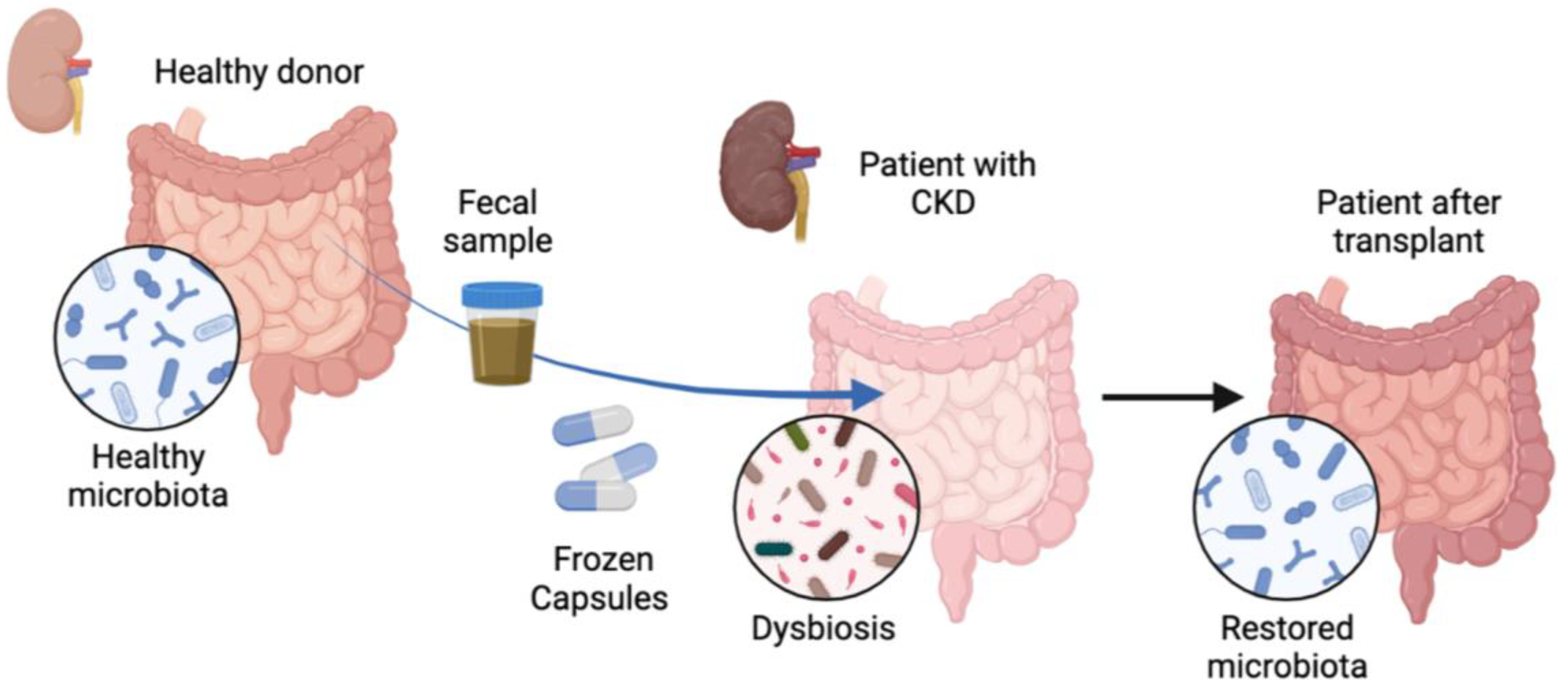 Nutrients 16 01109 g001