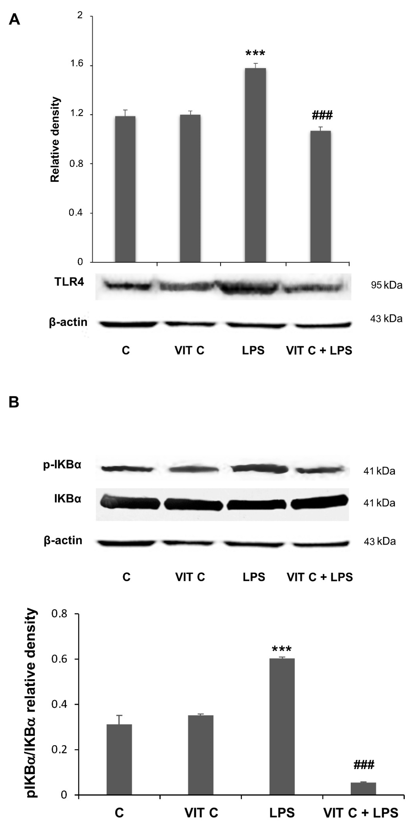 Nutrients 16 01121 g002