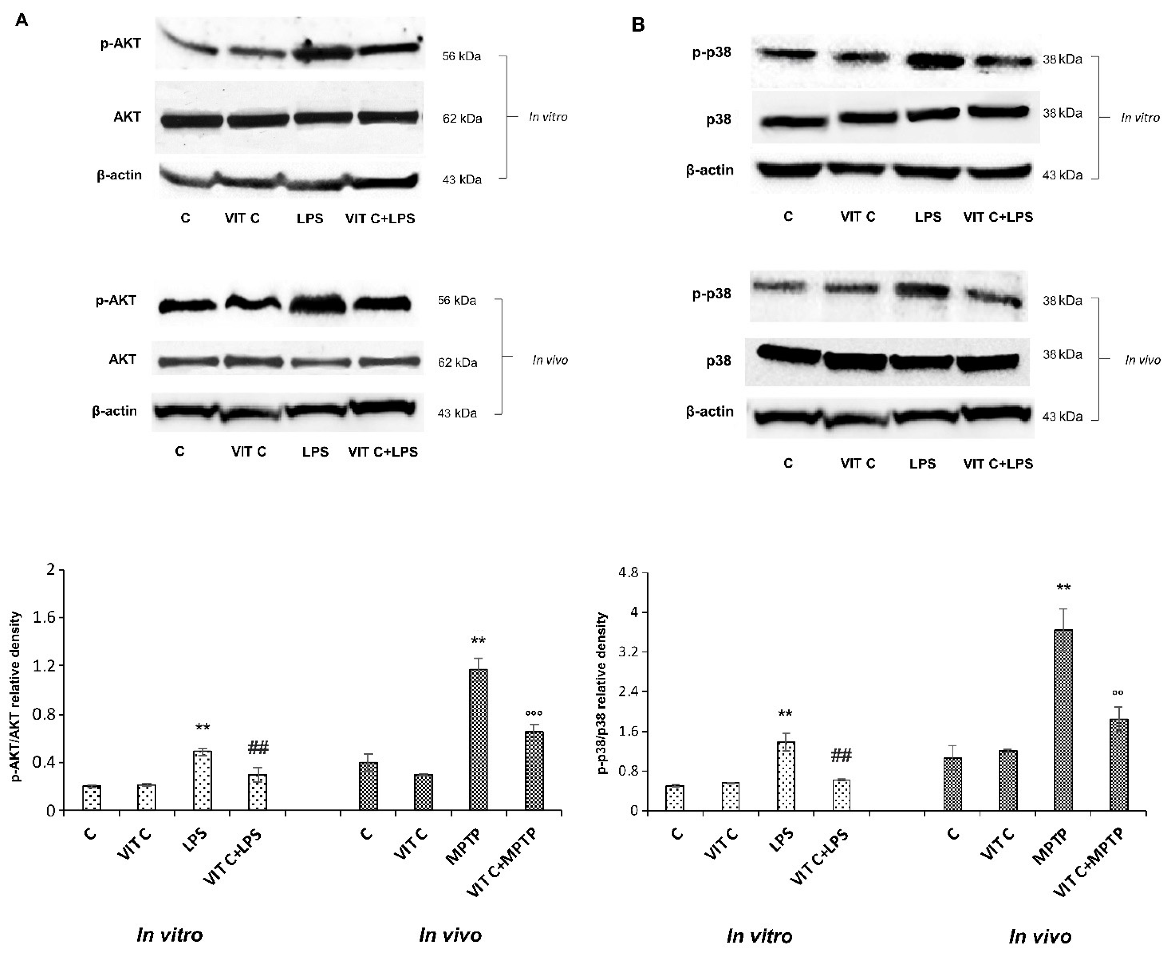 Nutrients 16 01121 g003