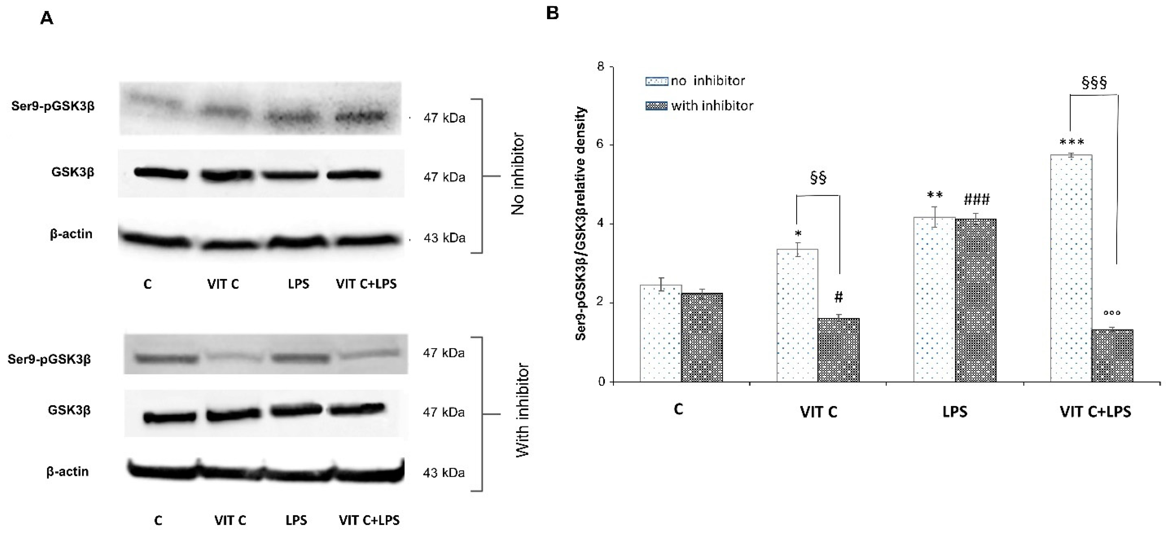 Nutrients 16 01121 g004