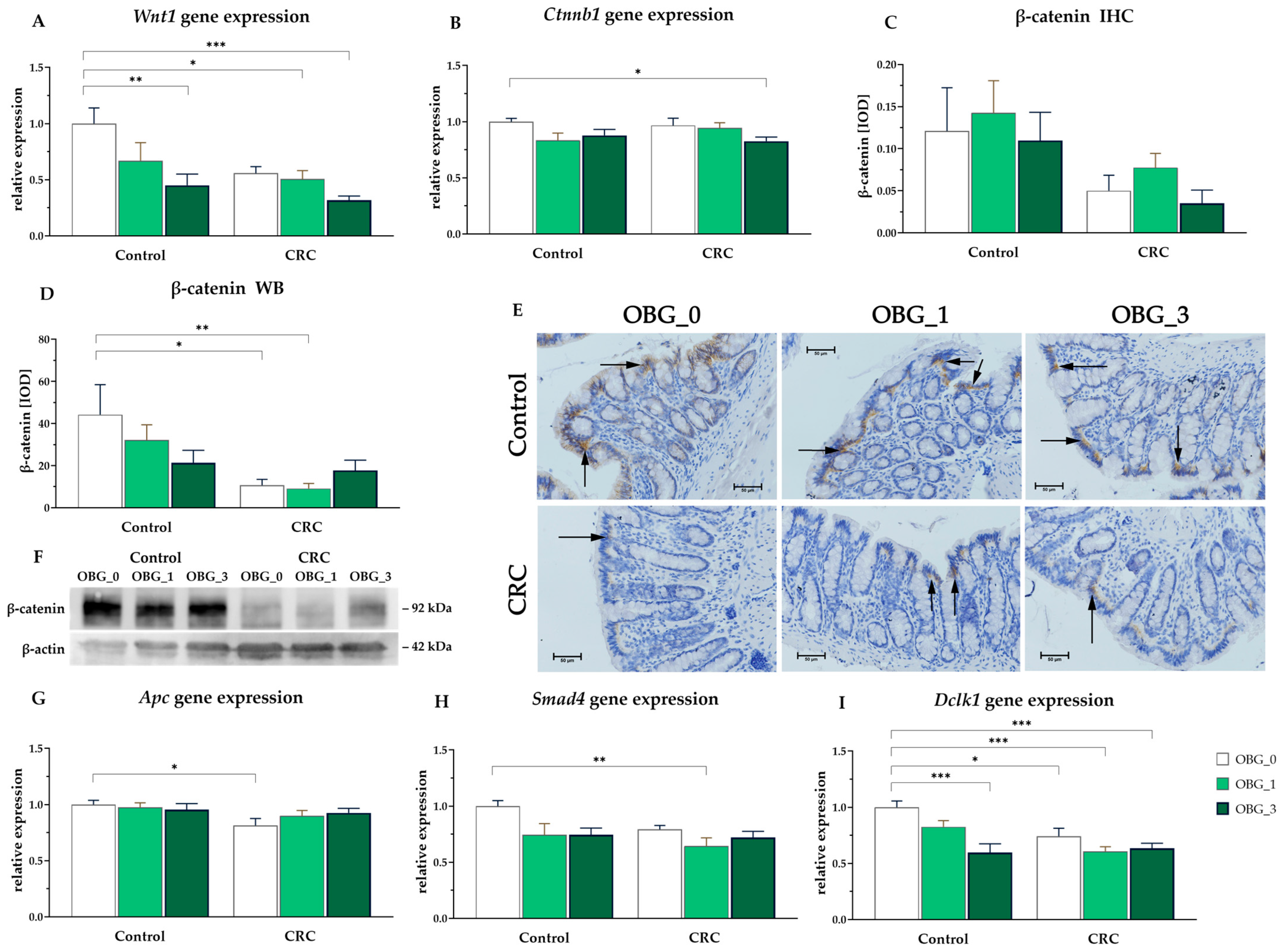 Nutrients 16 01125 g005