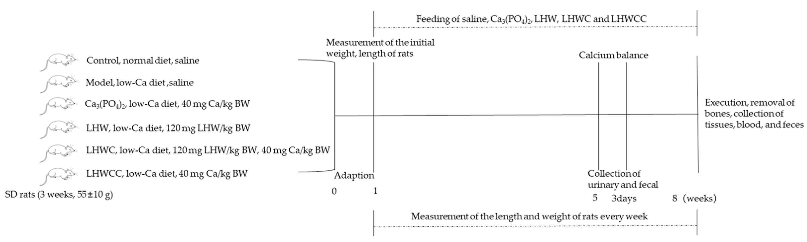 Nutrients 16 01127 g001