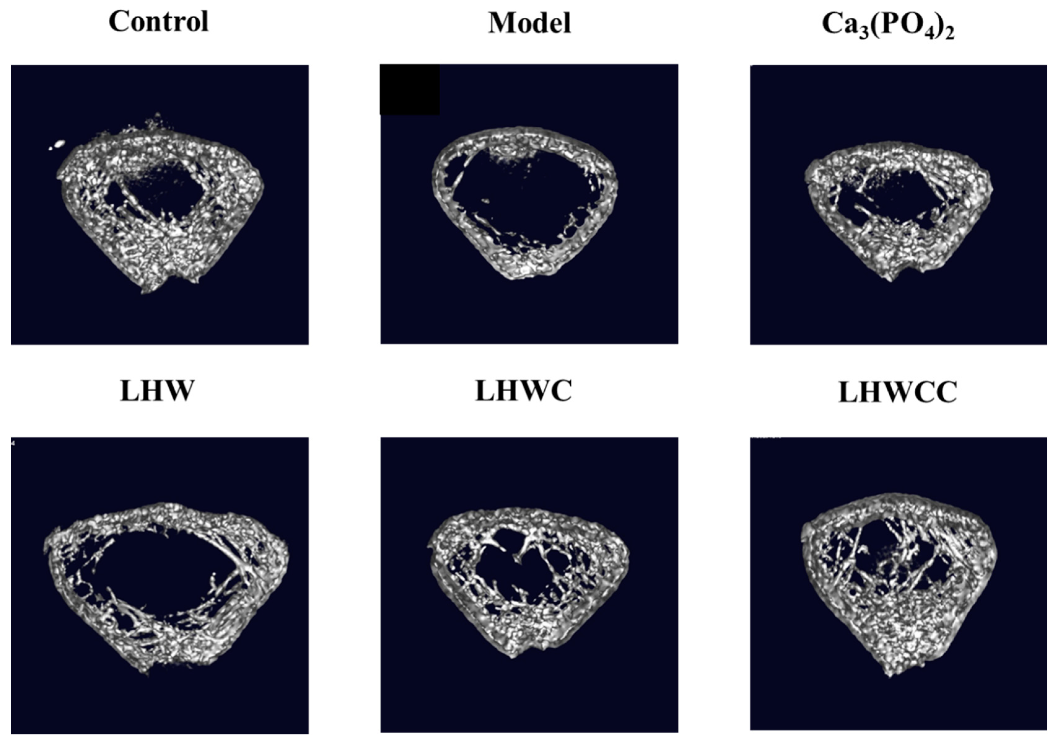 Nutrients 16 01127 g005