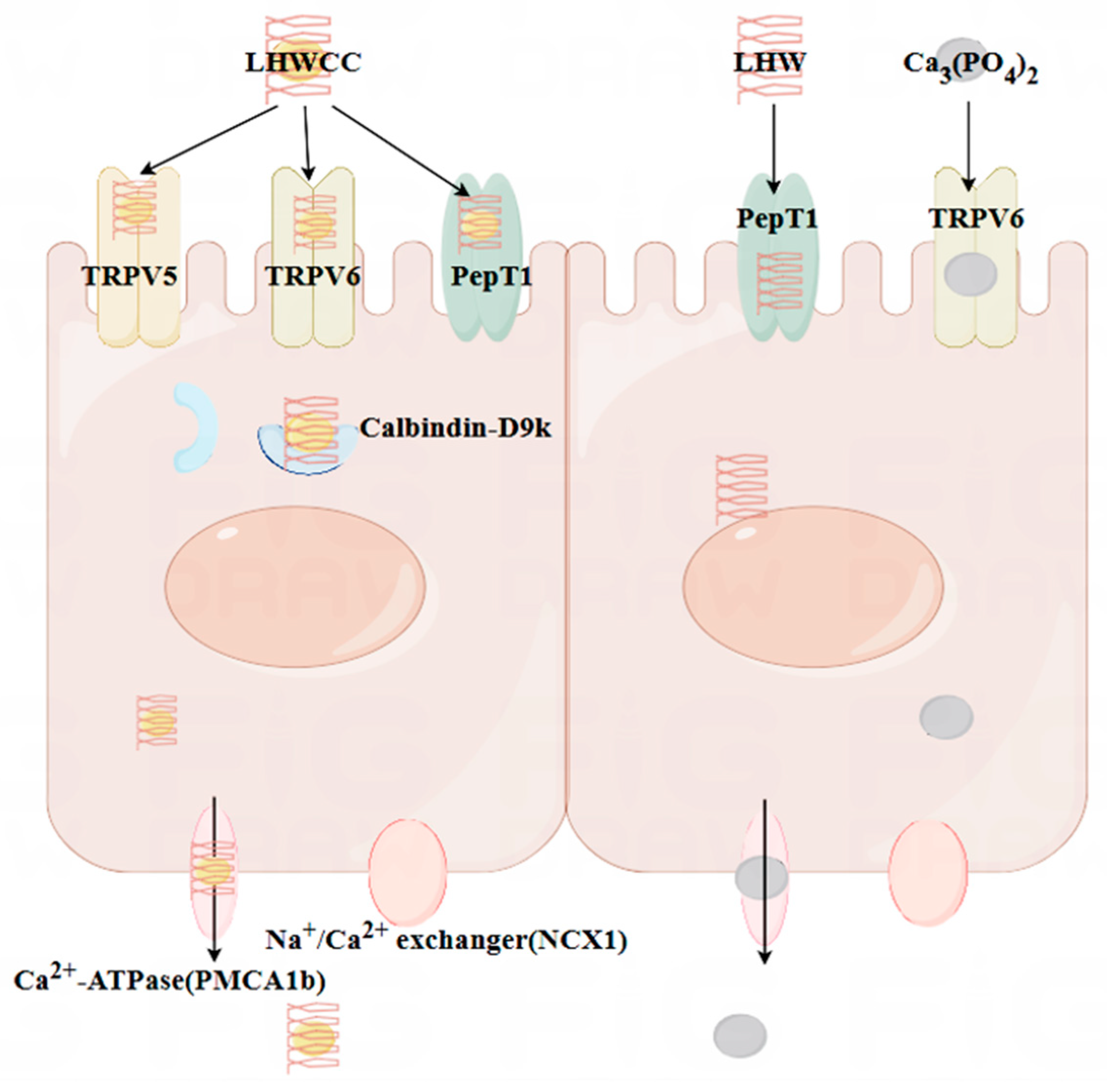 Nutrients 16 01127 g010