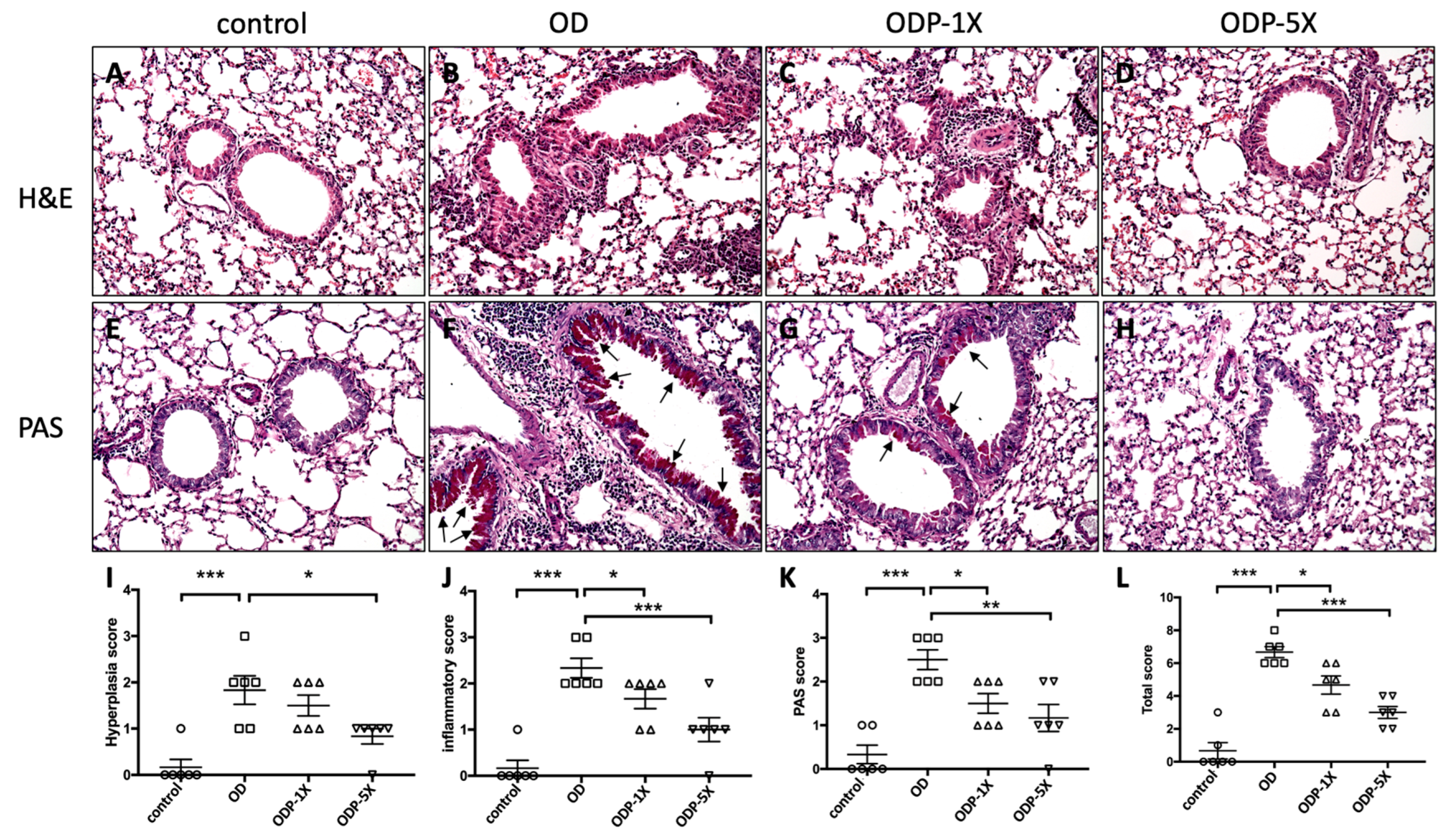 Nutrients 16 01160 g008 Nutrients 16 01160 g008