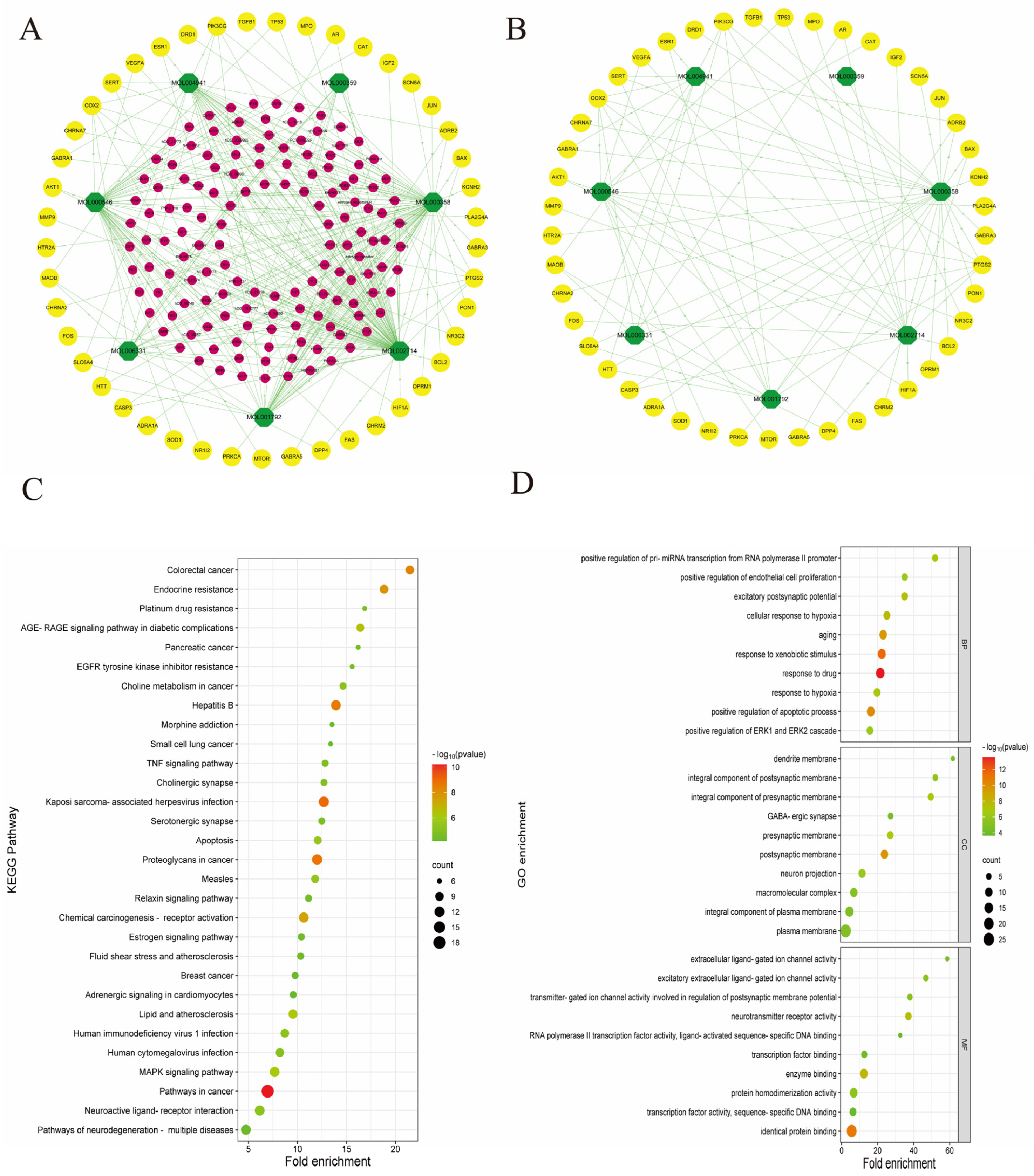 Nutrients 16 01167 g004