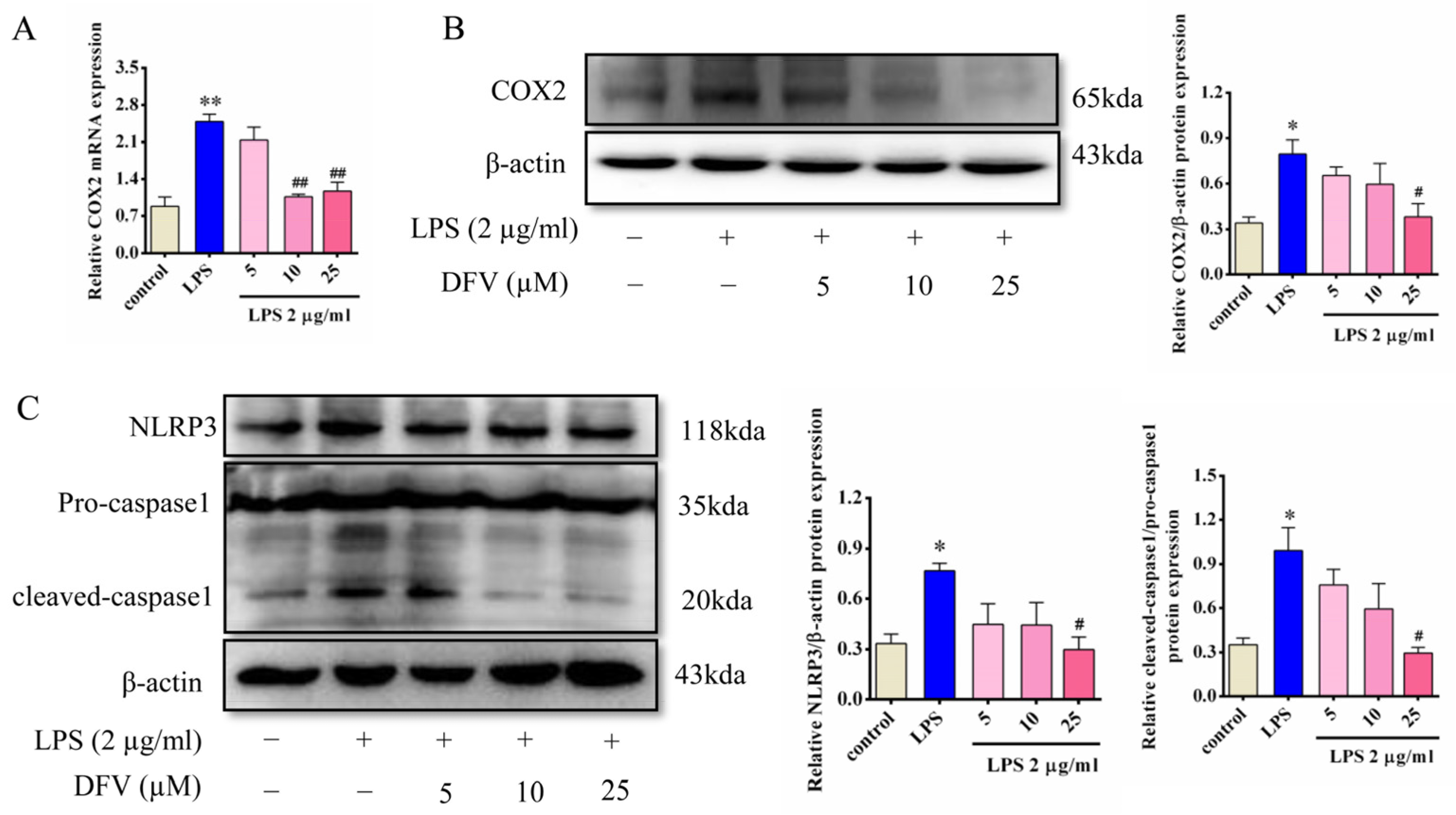 Nutrients 16 01167 g007