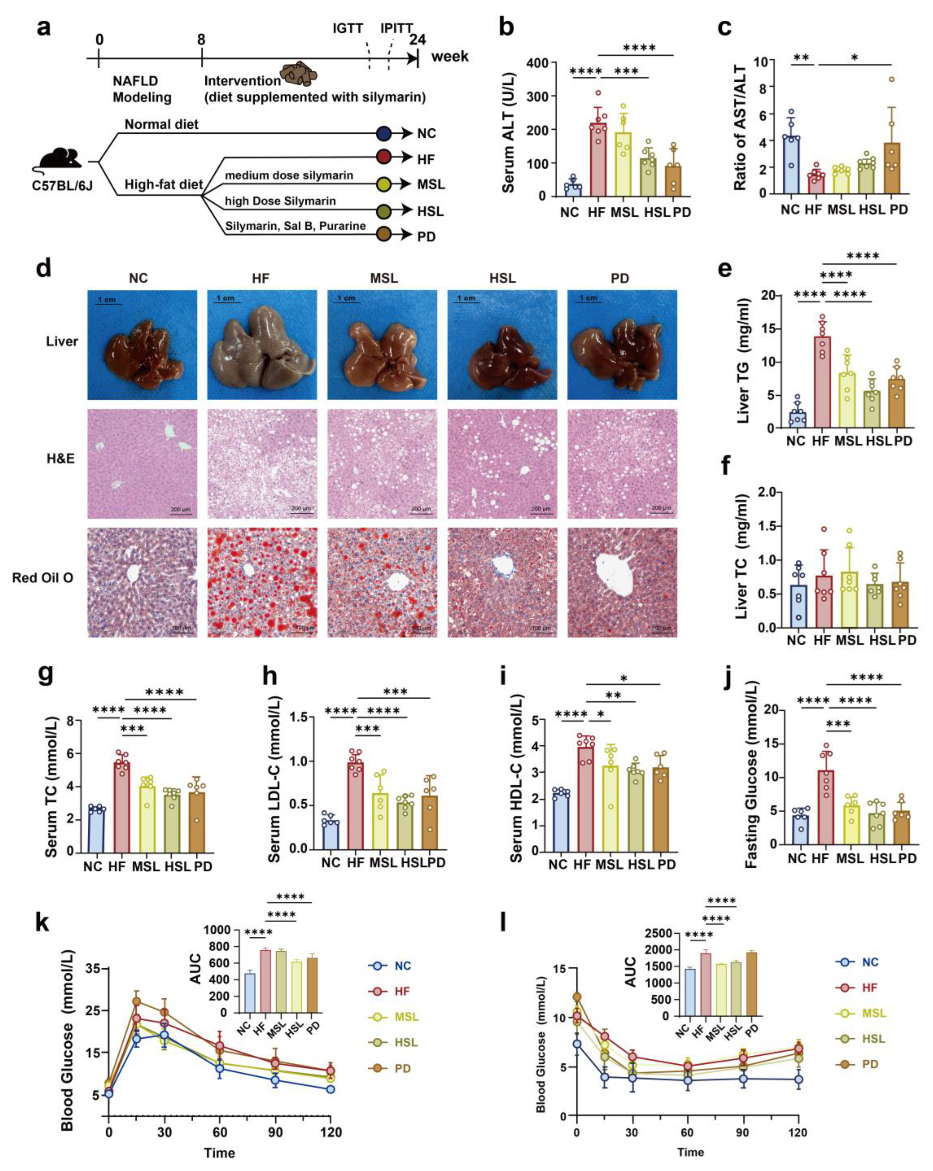 Nutrients 16 01169 g001