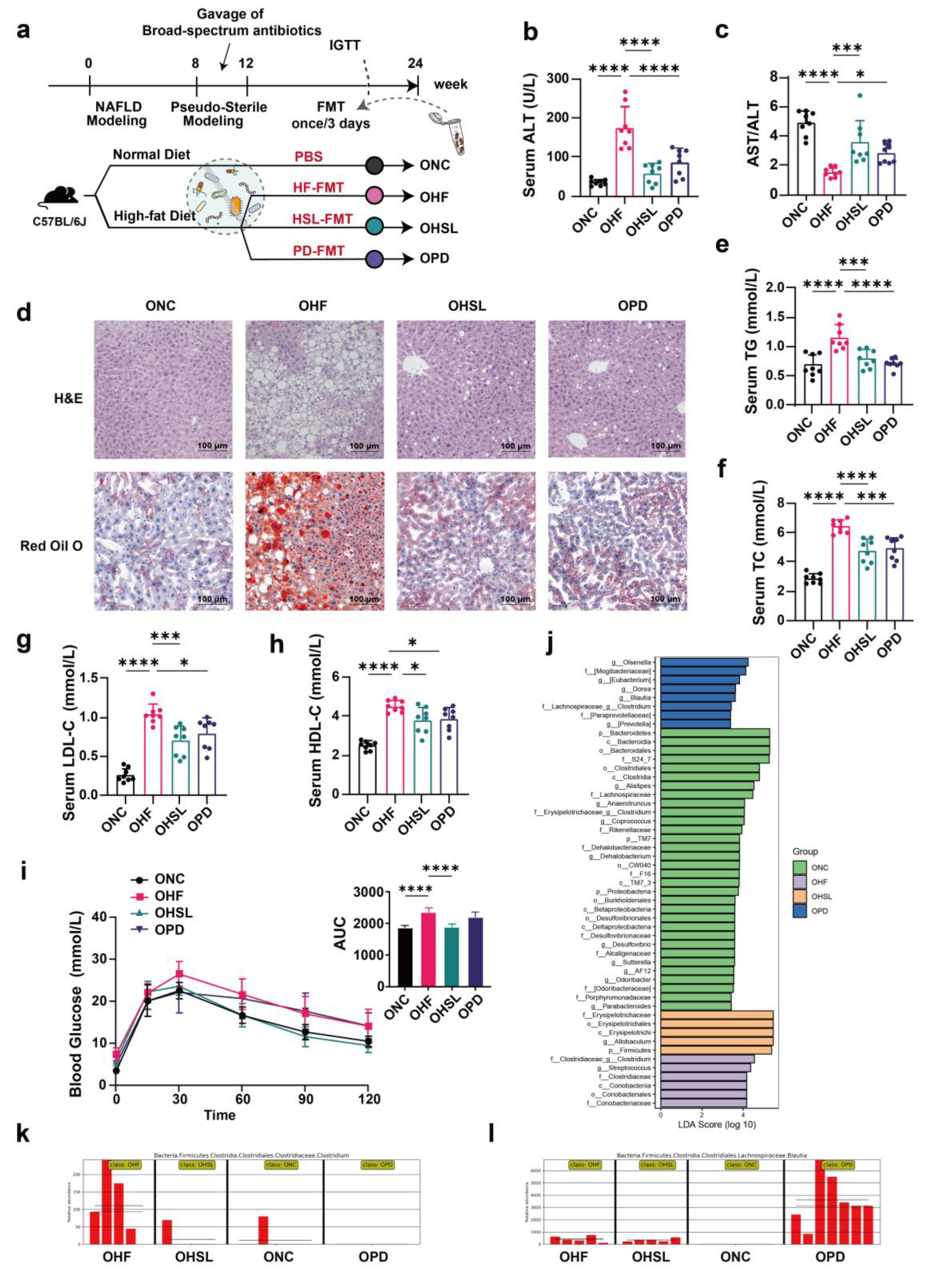 Nutrients 16 01169 g004