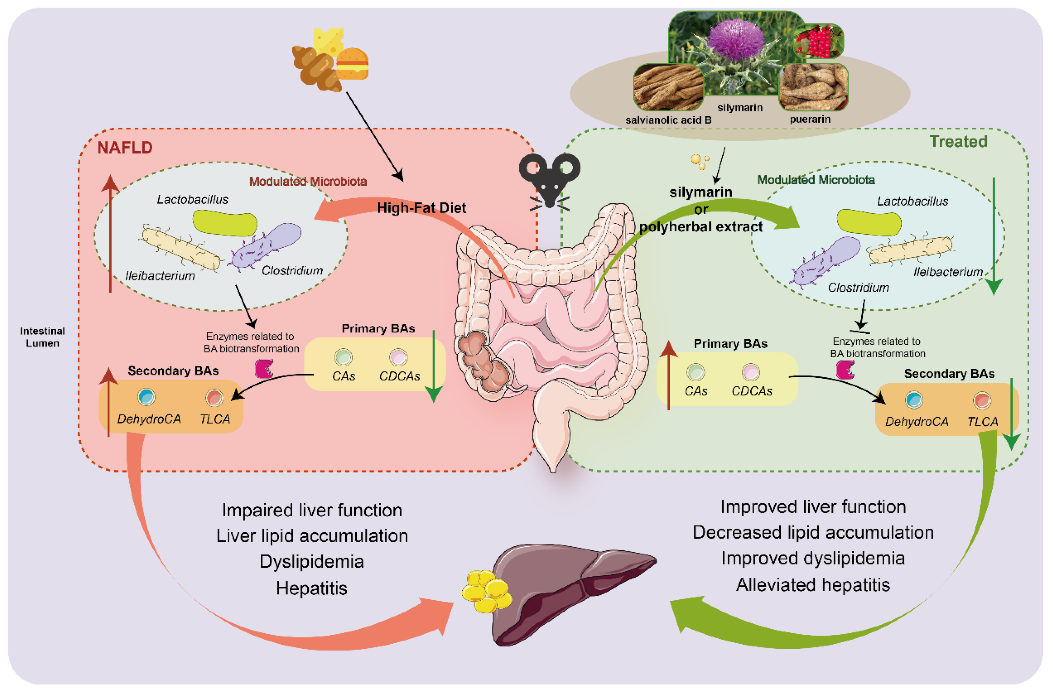 Nutrients 16 01169 g008