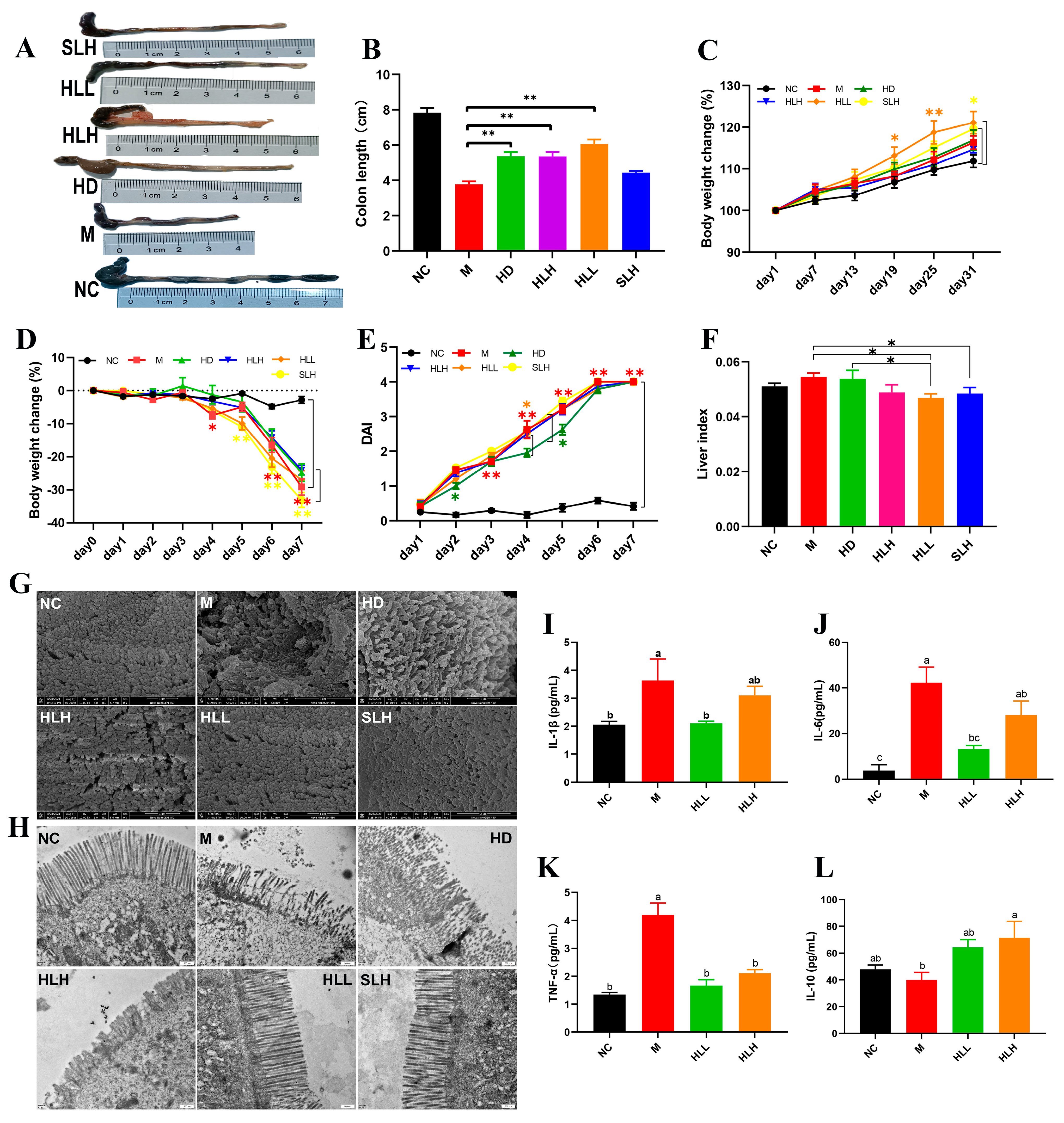 Nutrients 16 01178 g001