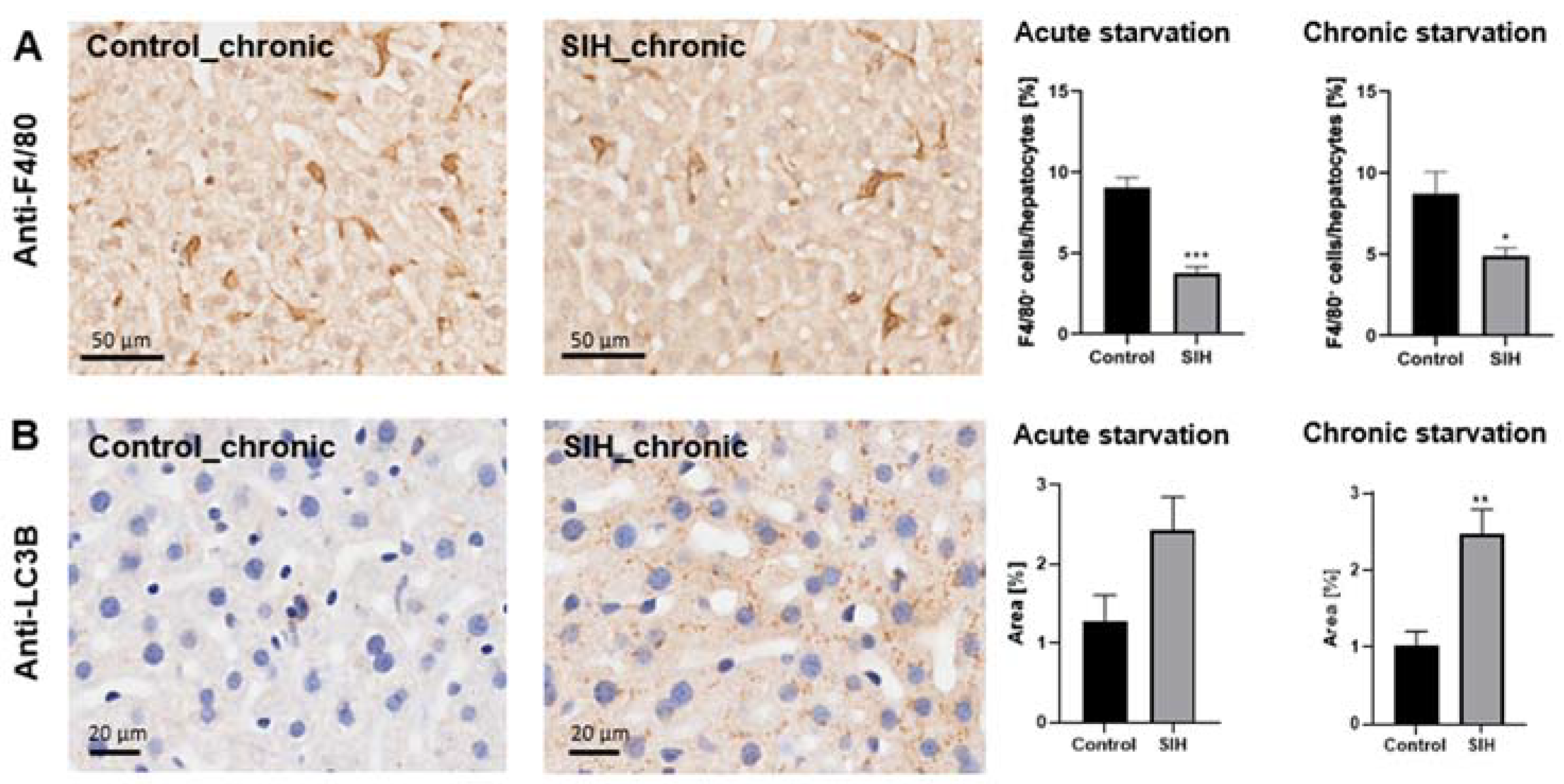 Nutrients 16 01191 g004