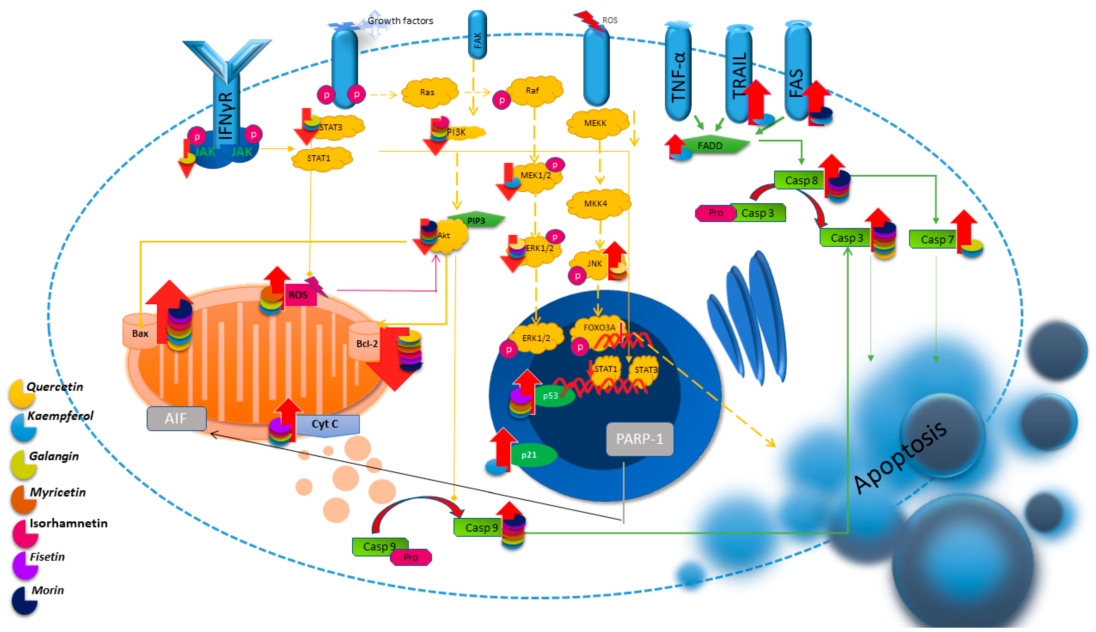 Nutrients 16 01201 g002