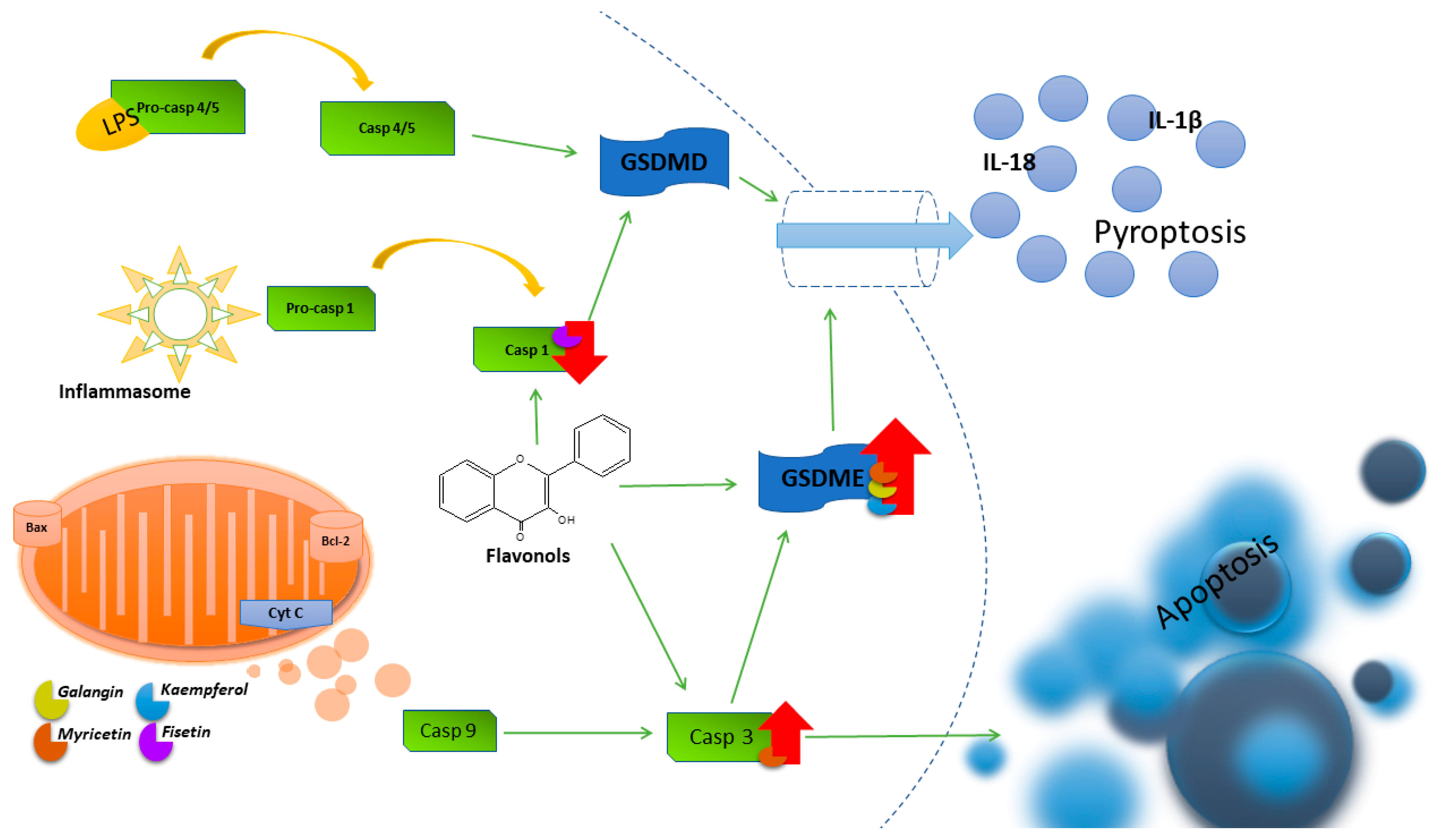 Nutrients 16 01201 g004