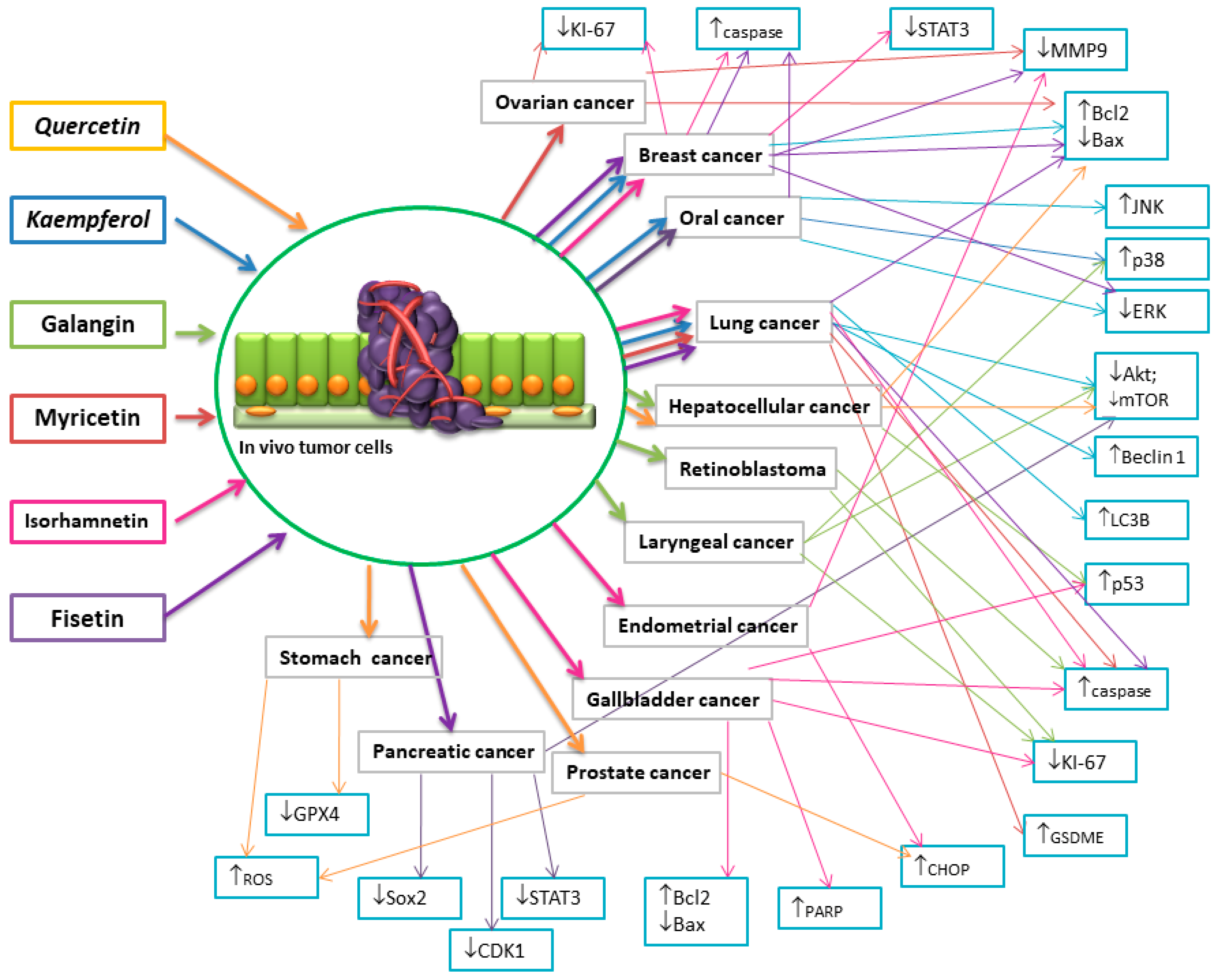 Nutrients 16 01201 g006