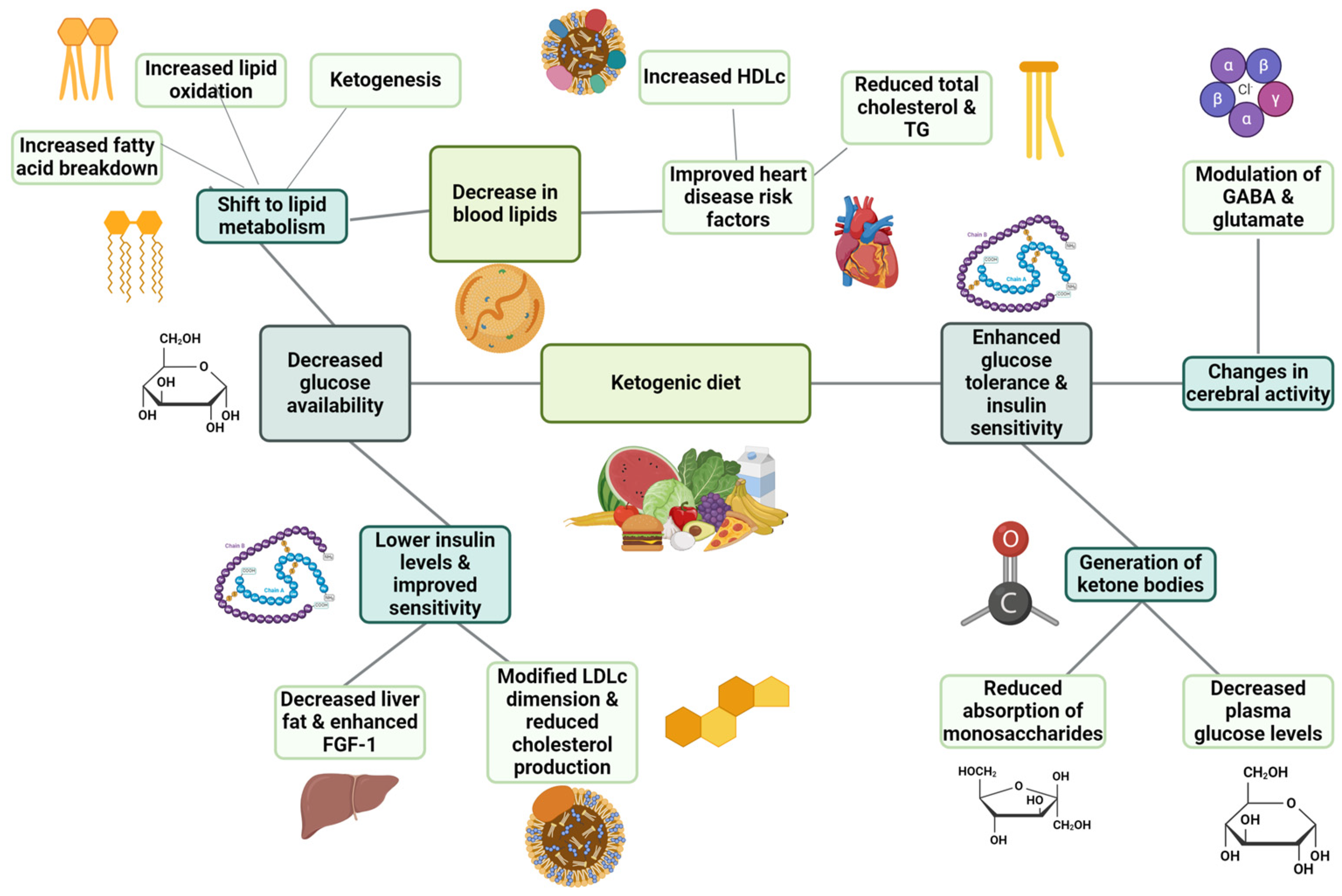Nutrients 16 01213 g001
