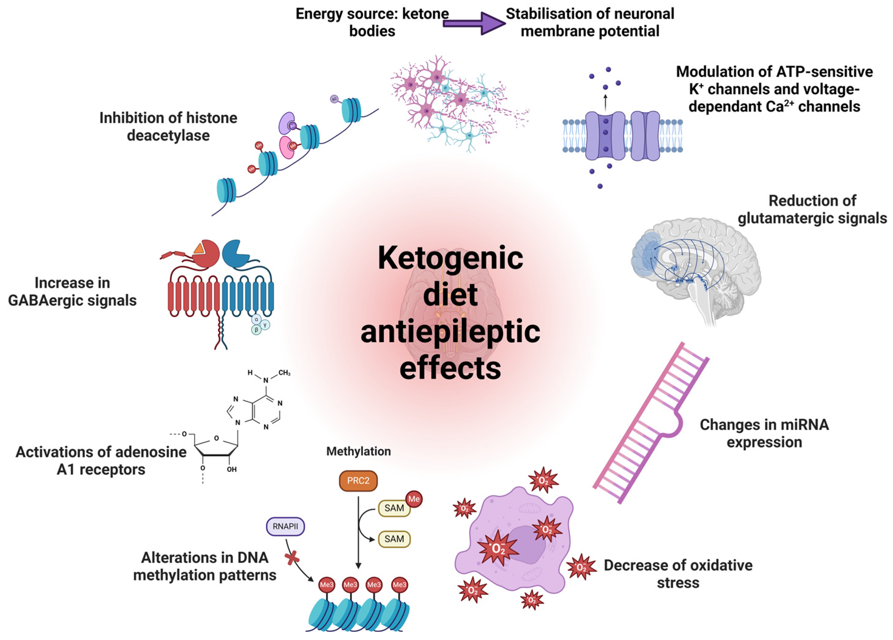 Nutrients 16 01213 g004