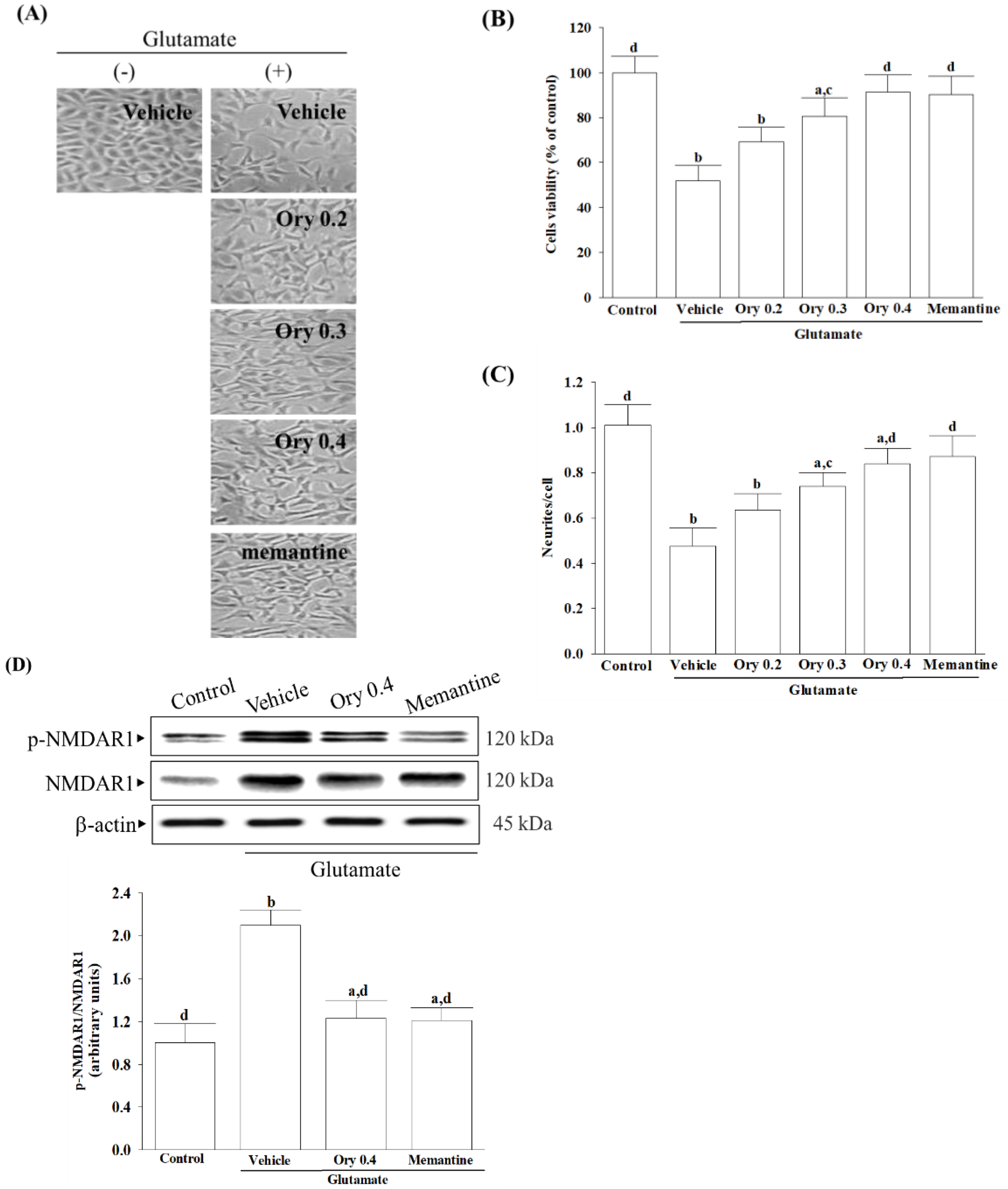 Nutrients 16 01237 g002